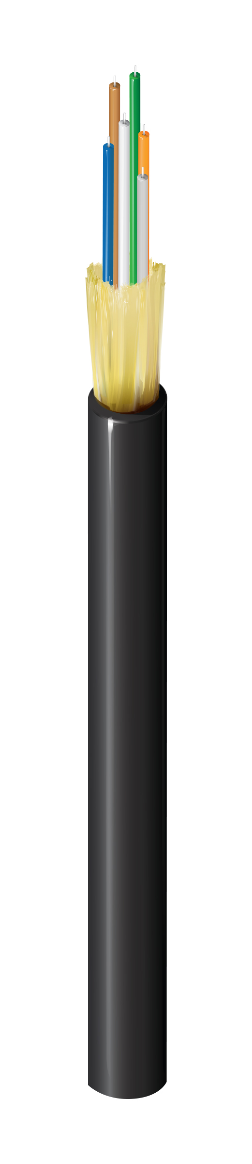 FD4D006L9
