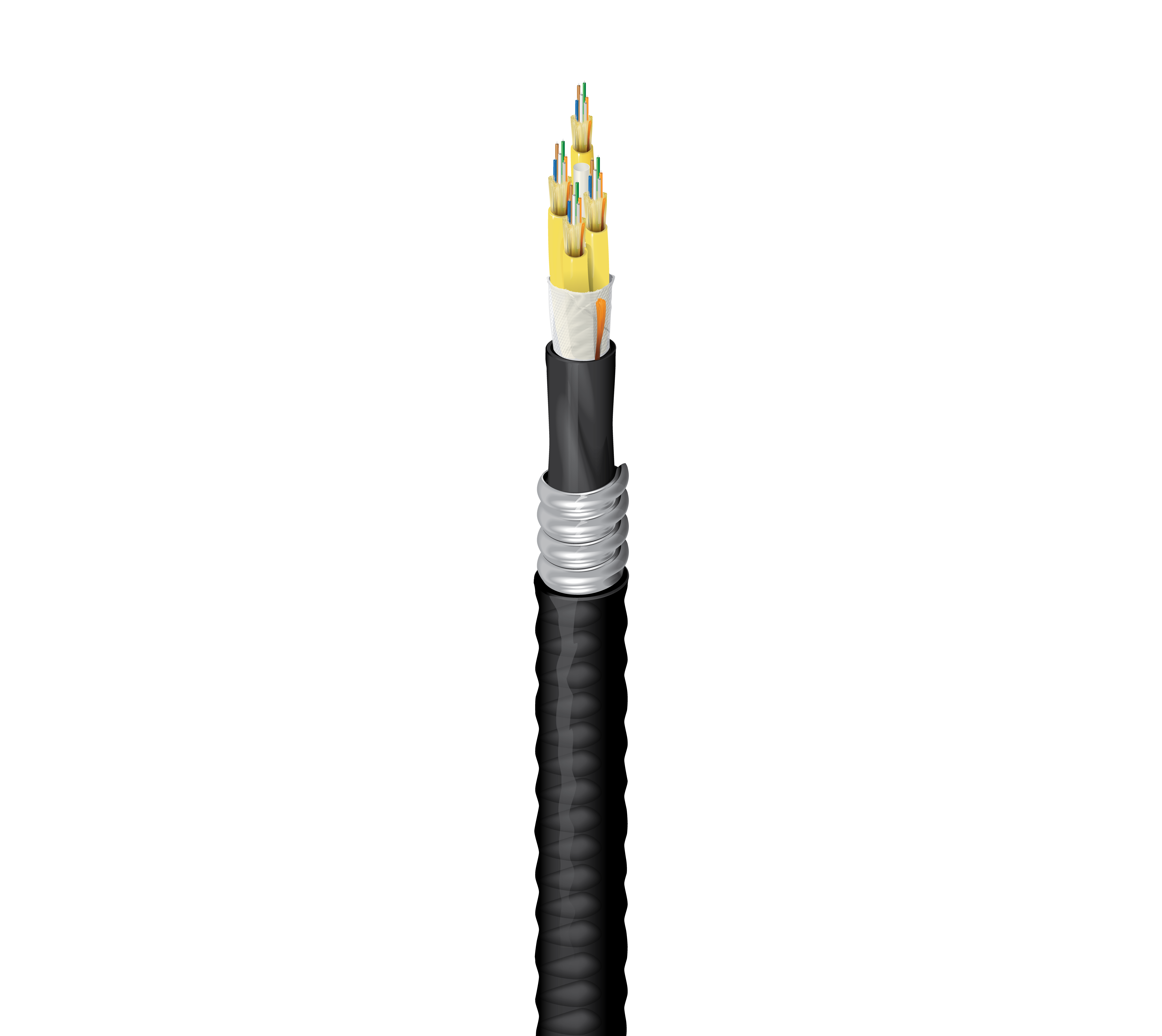 FDSD024FJ