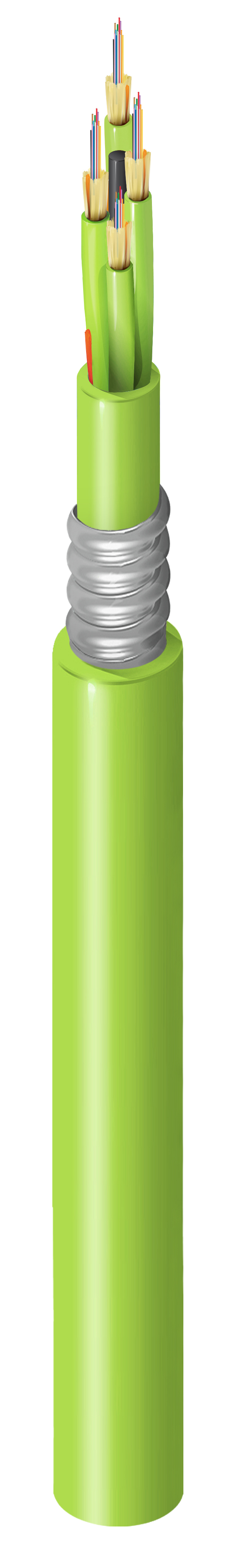 FI5M048A1
