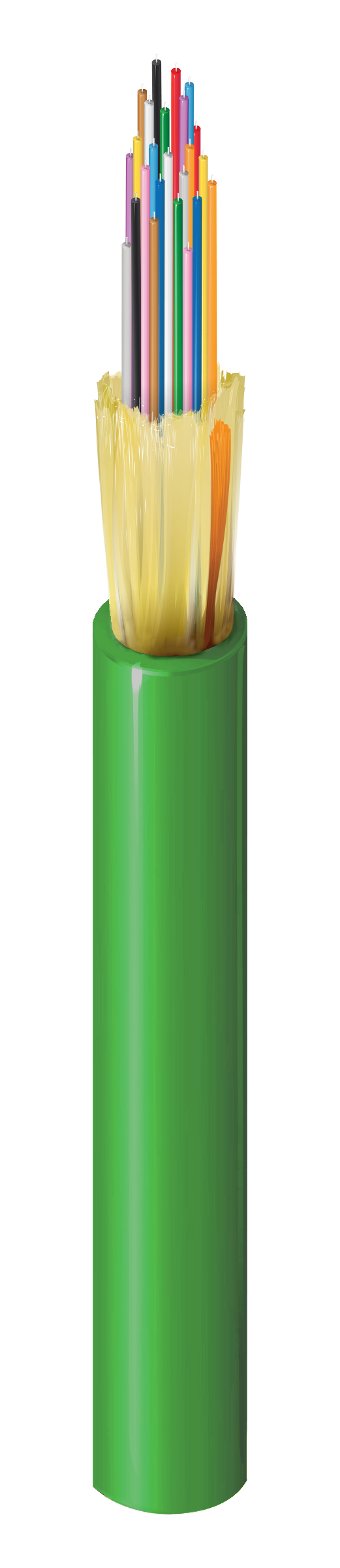 FISD024P9G