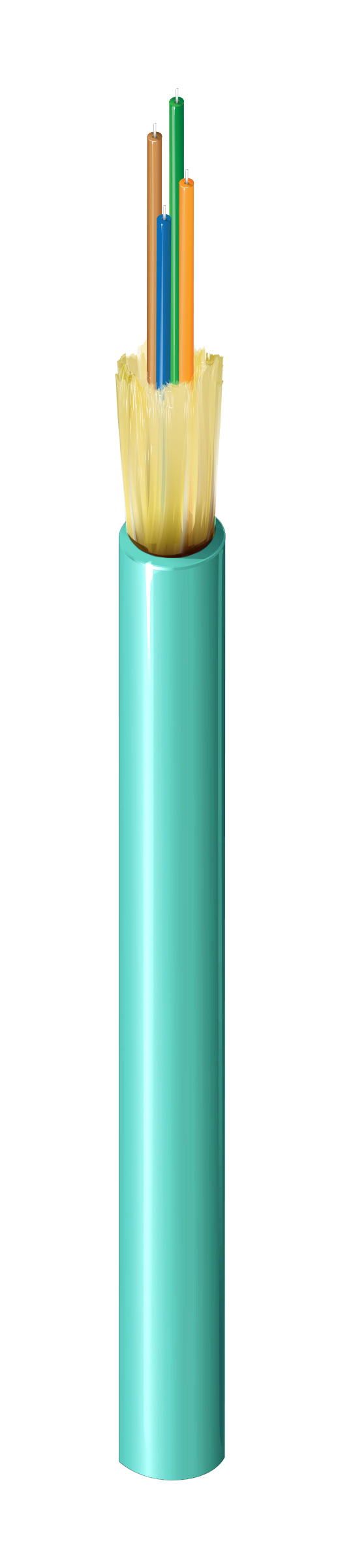 FI3D004P9