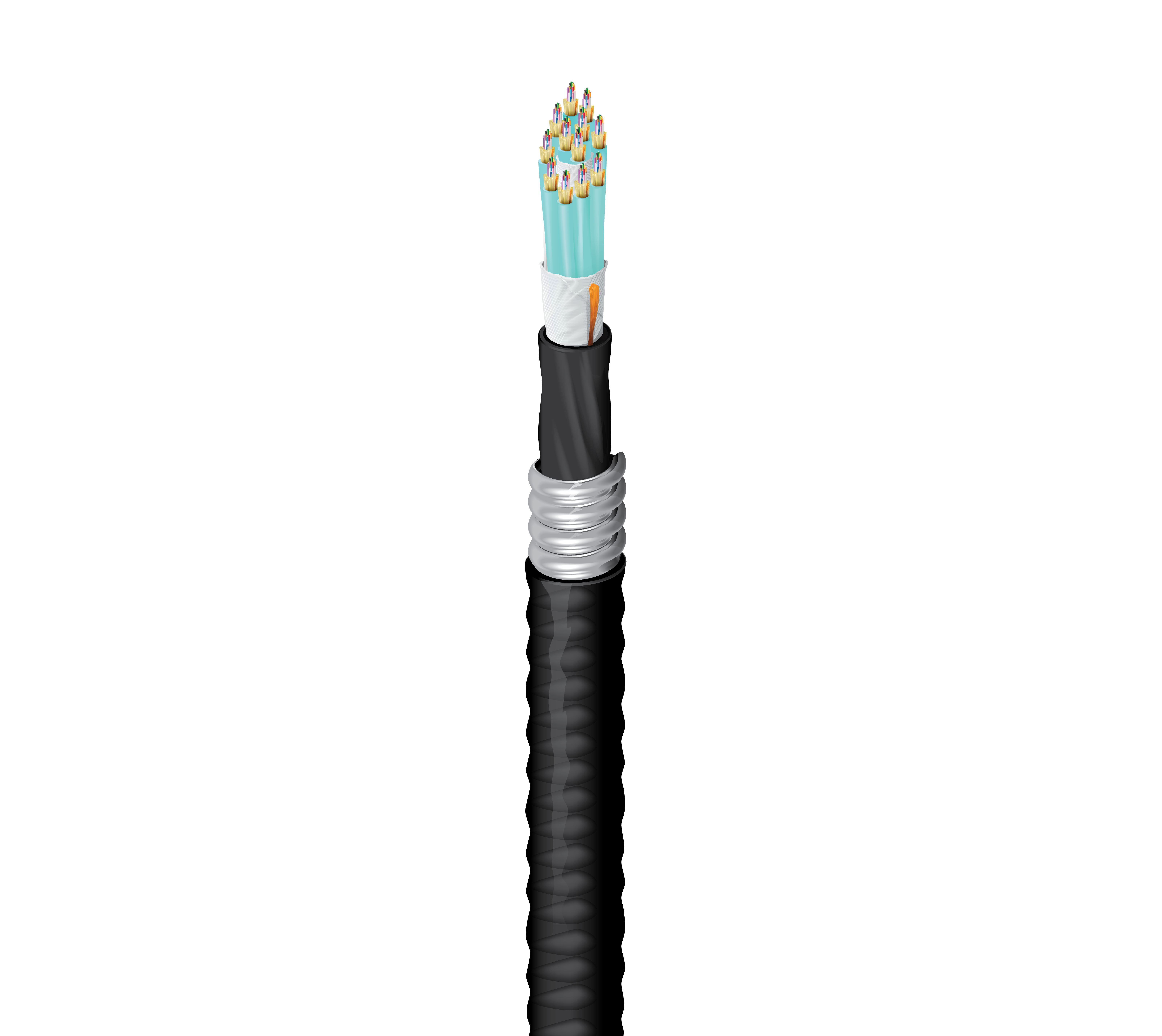 FD3D144FK