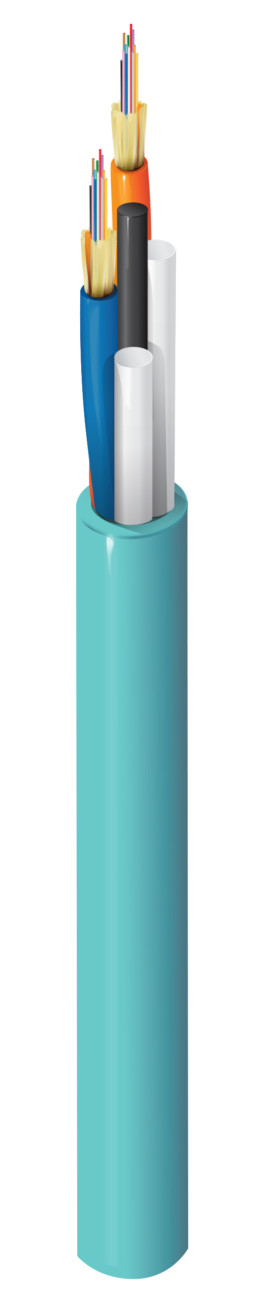 FI4M024P1A