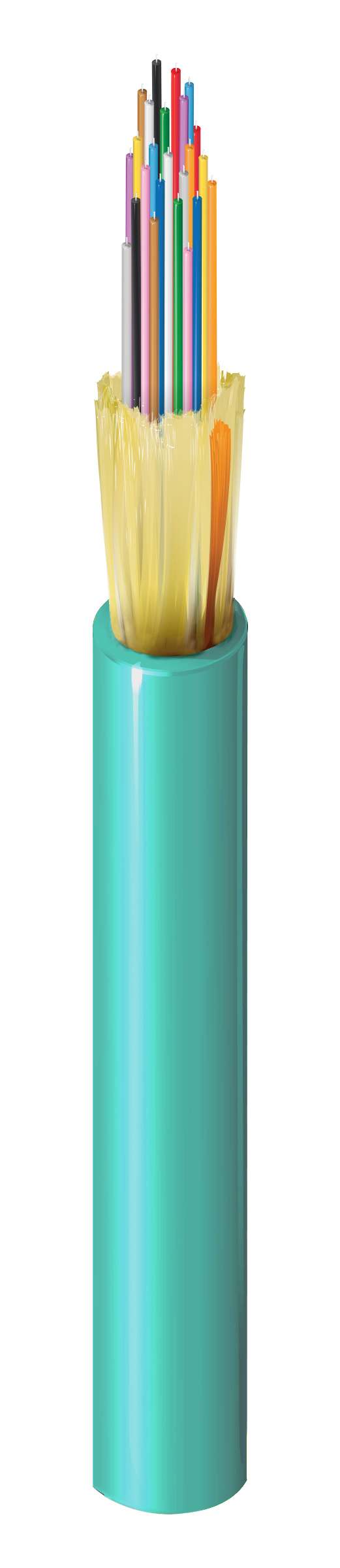 FISD024P9A