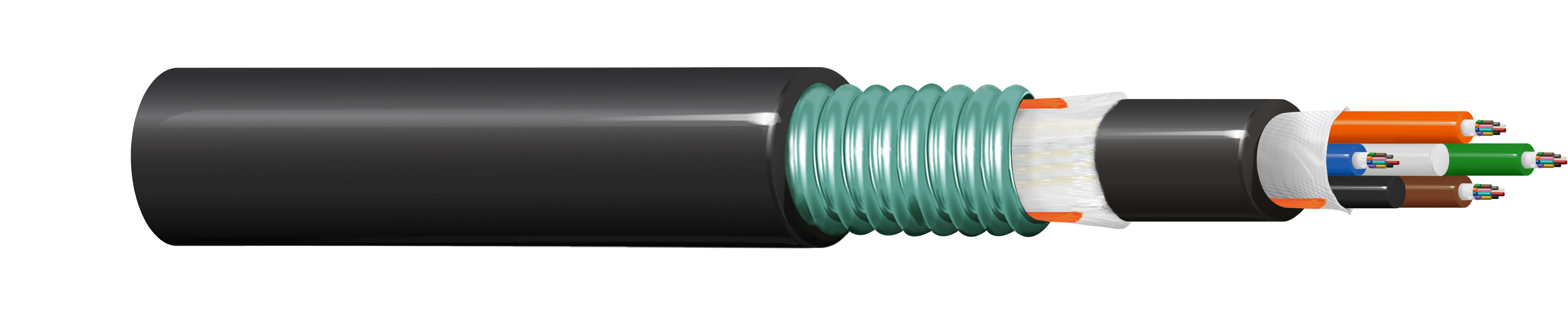 FSSH0486D