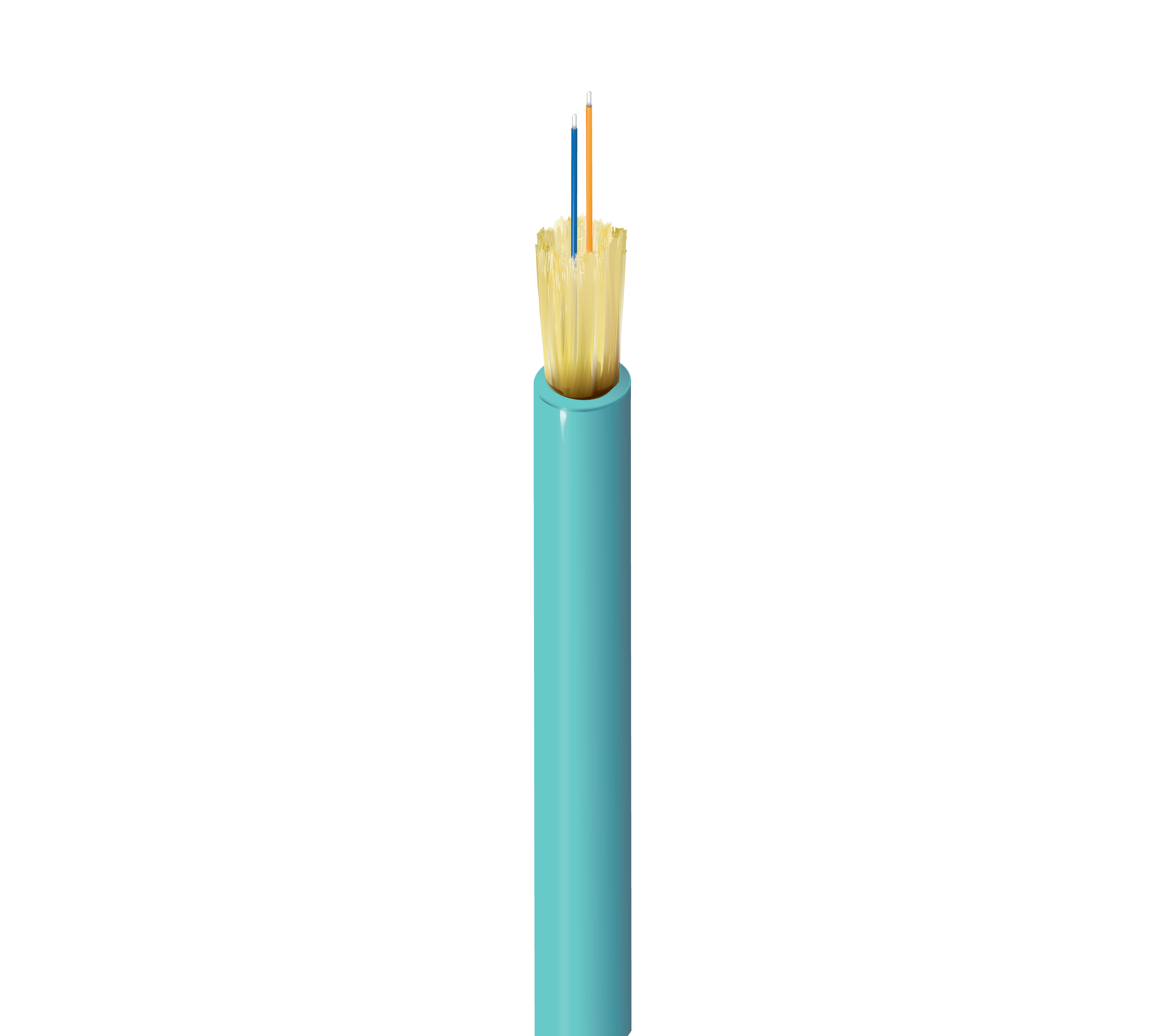 FI3I002L0