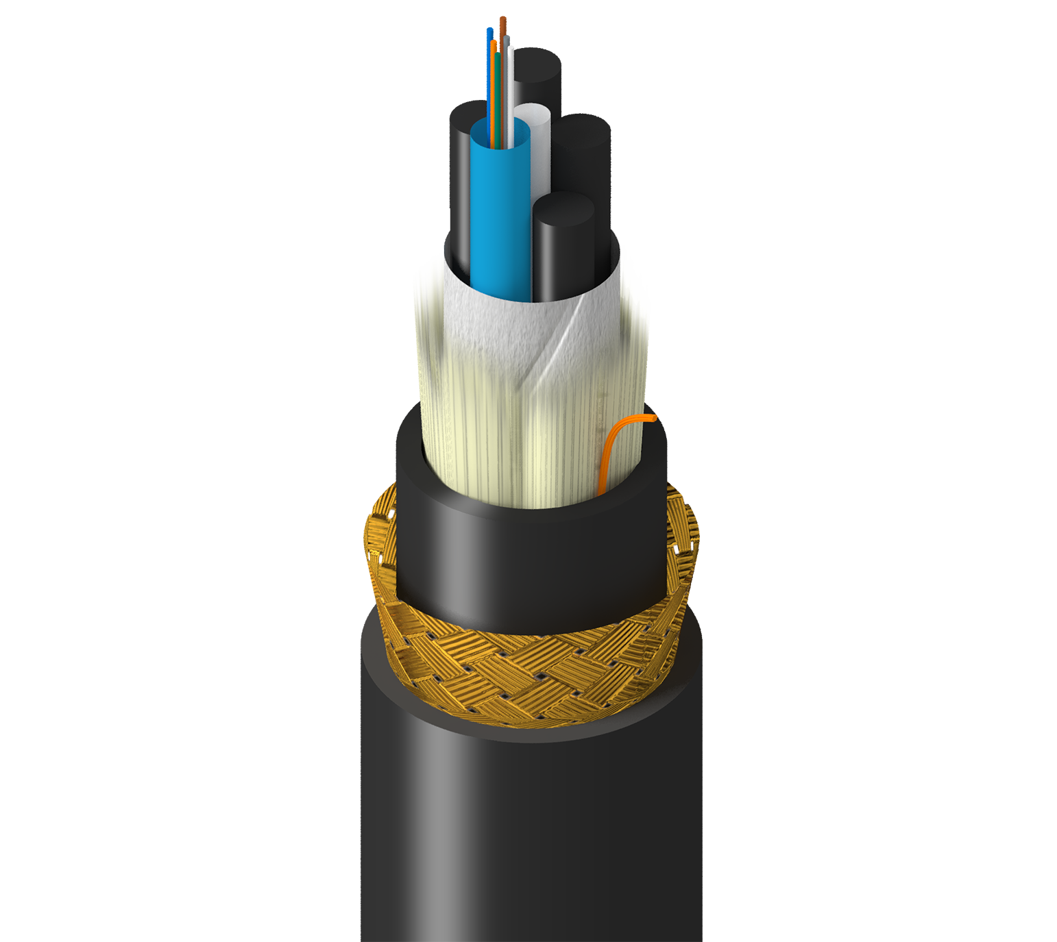 TM-1LF-006-HBA