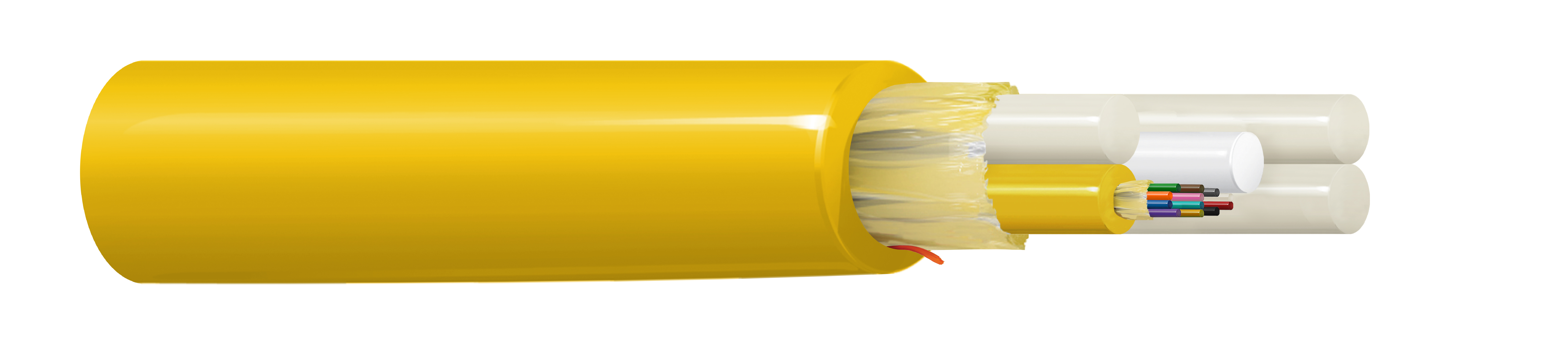 FIBM012P1