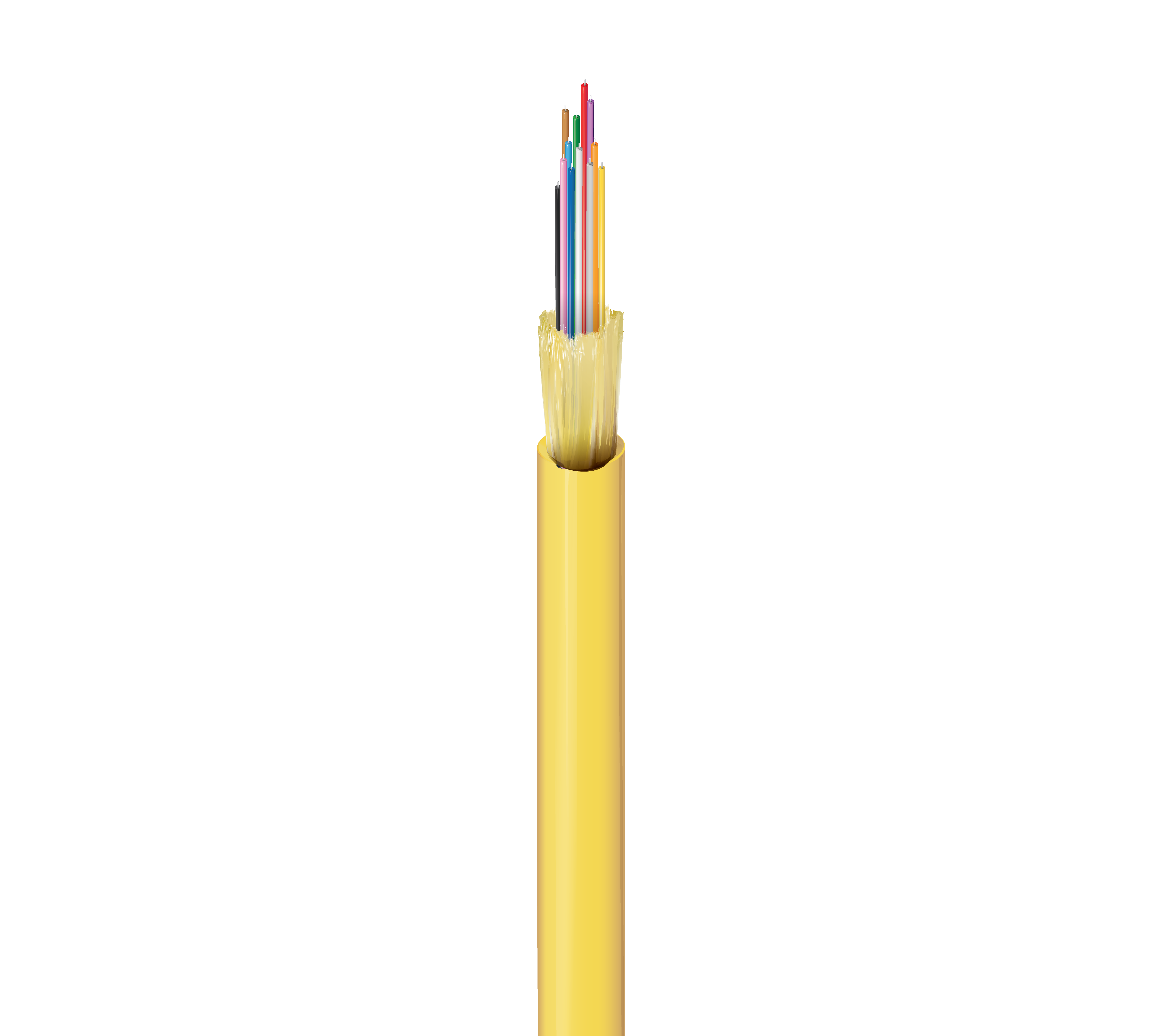 FISI012P0