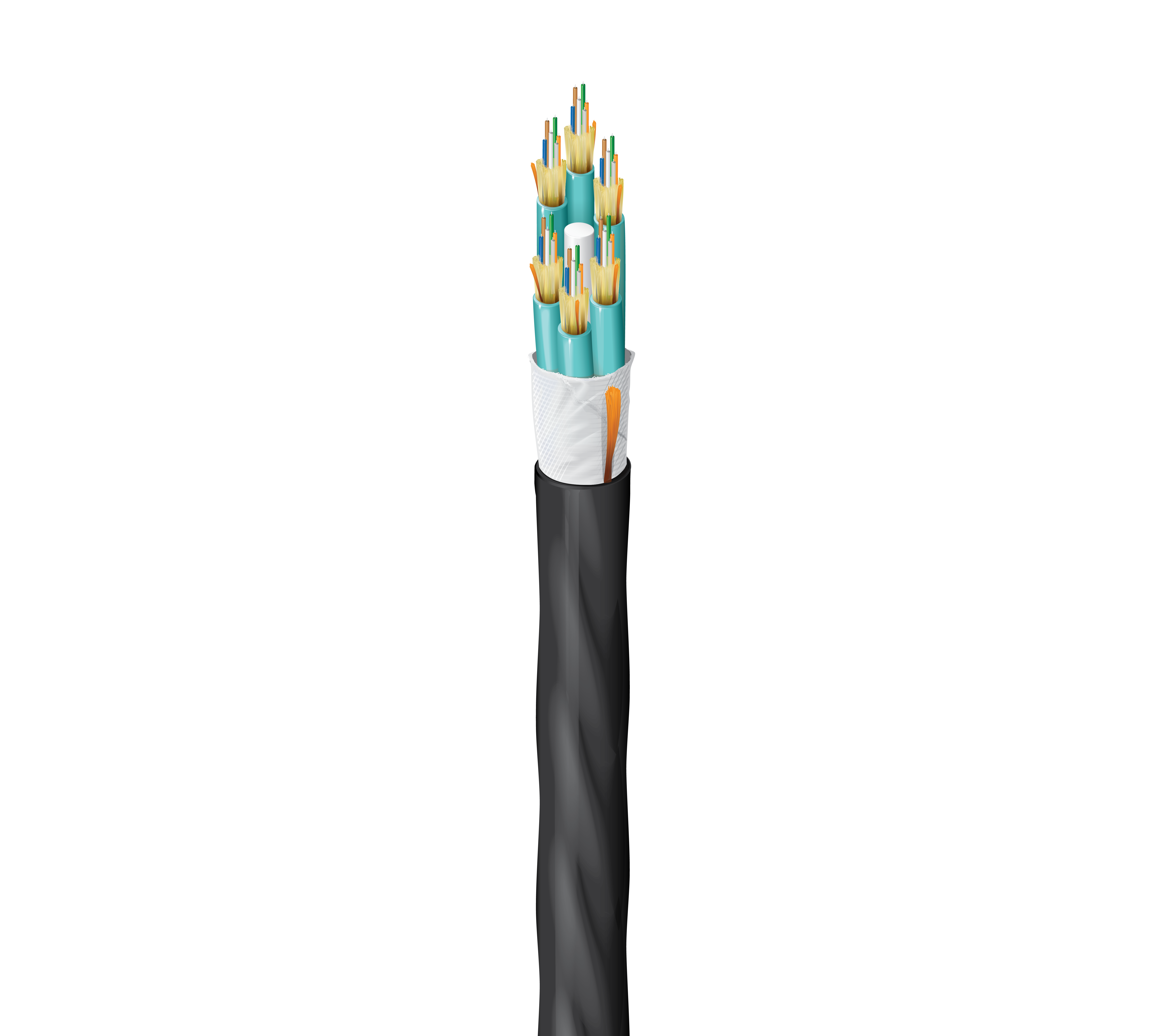 FD3D036PJ