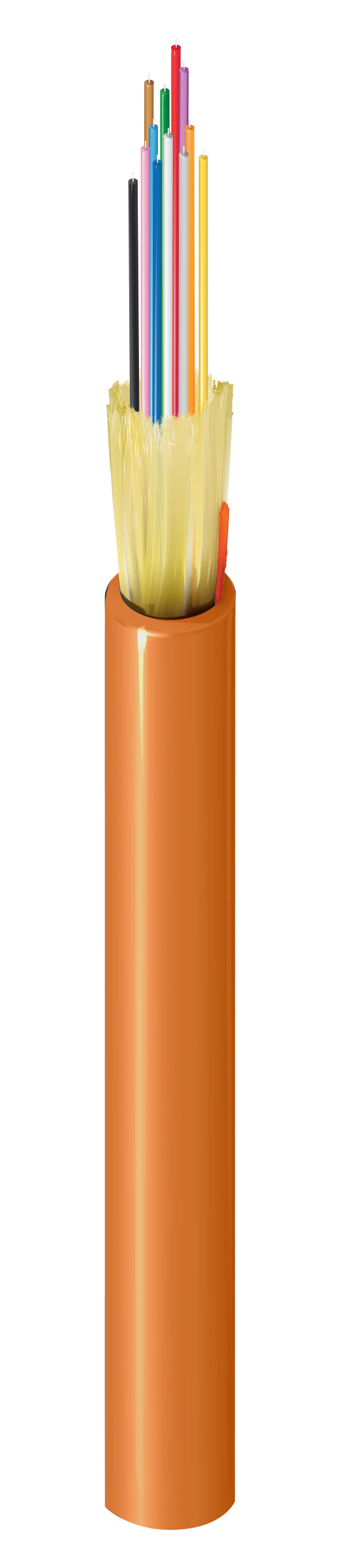 FD1D012L9O