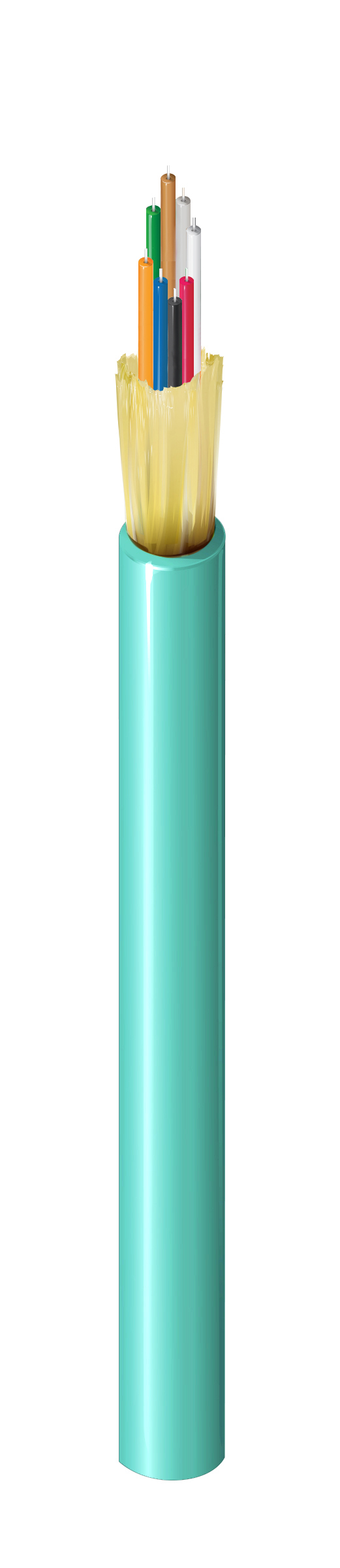 NTAP54AA008AQAA