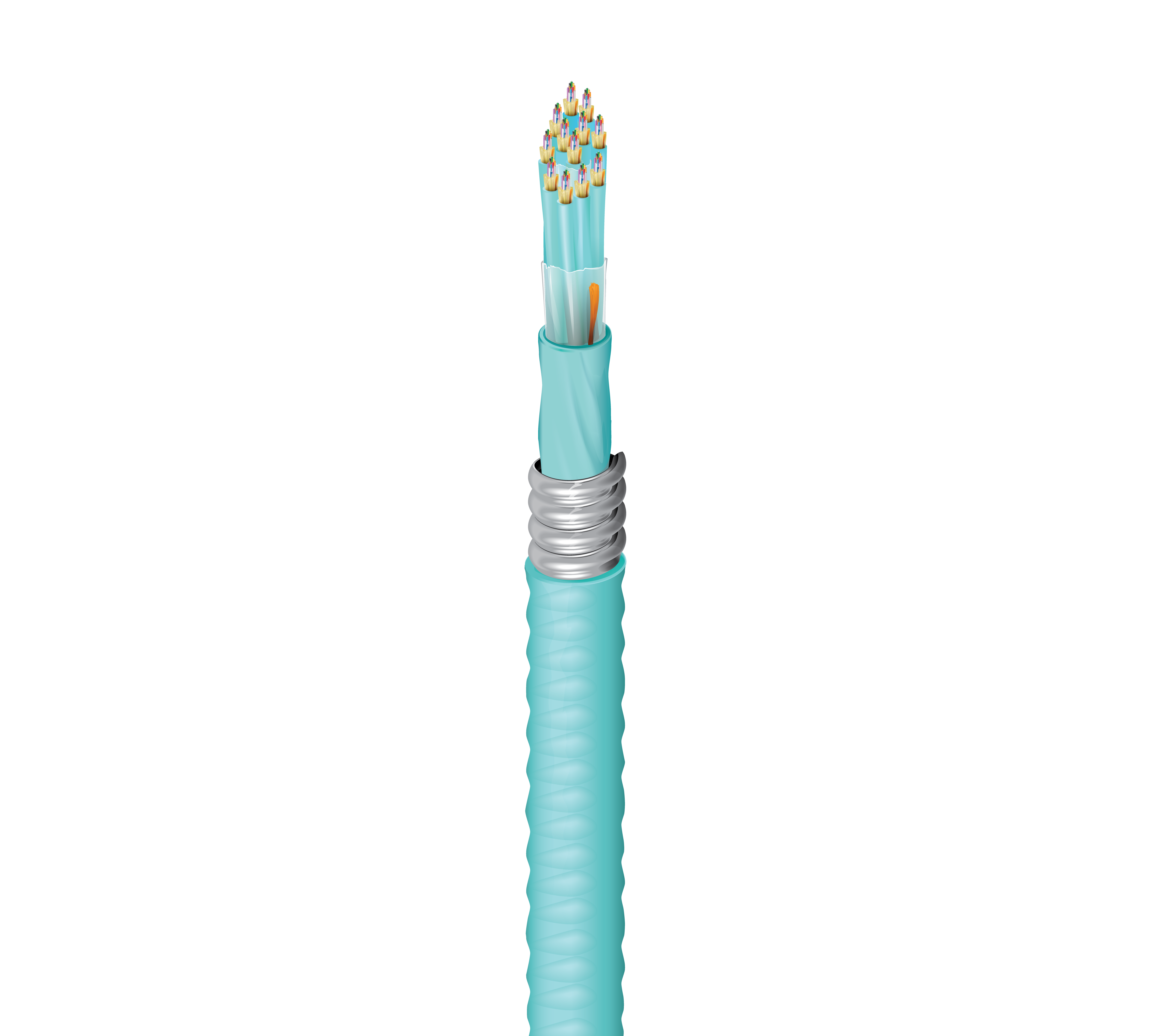 FI3D144FK