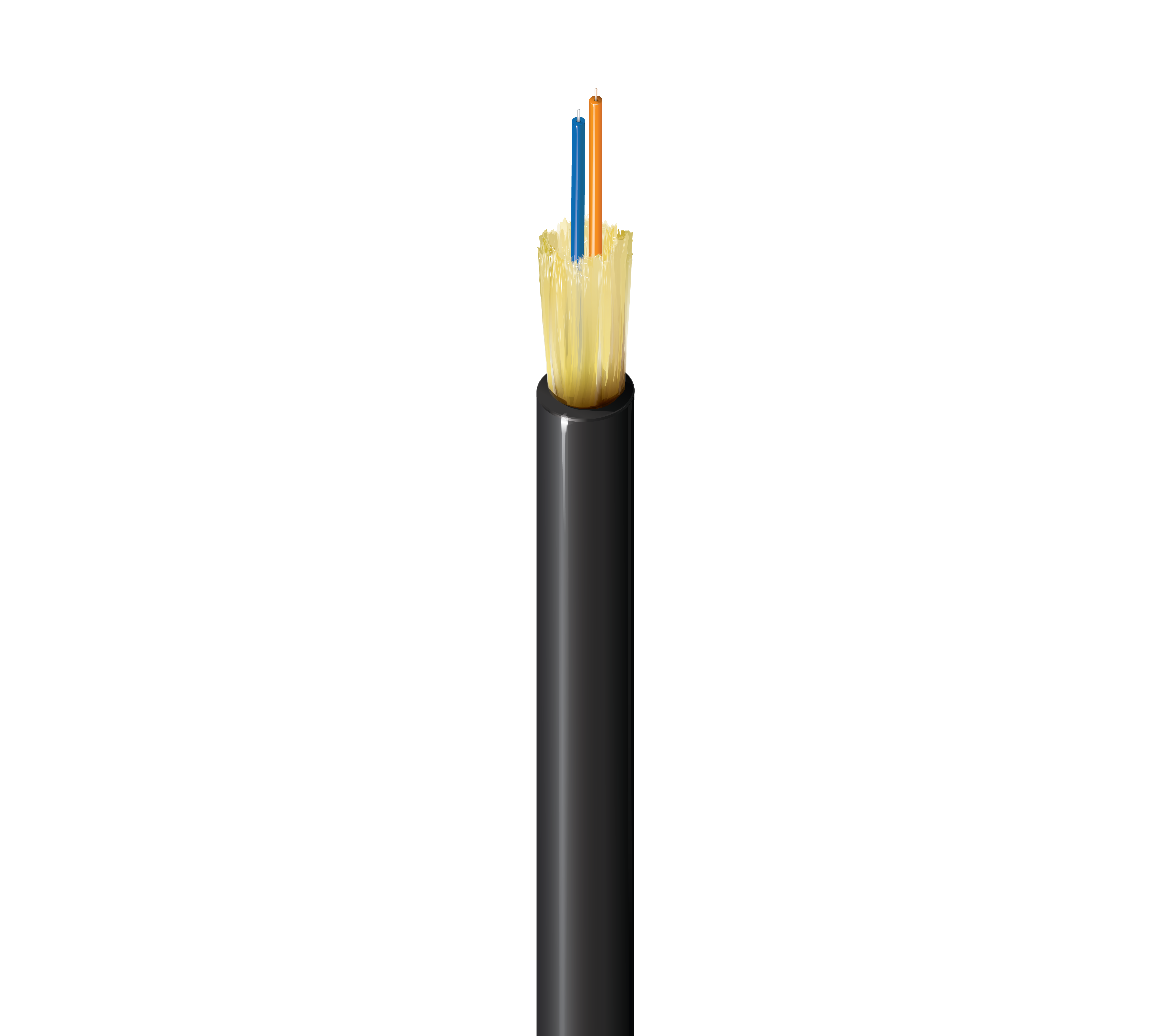 FDSD002P9