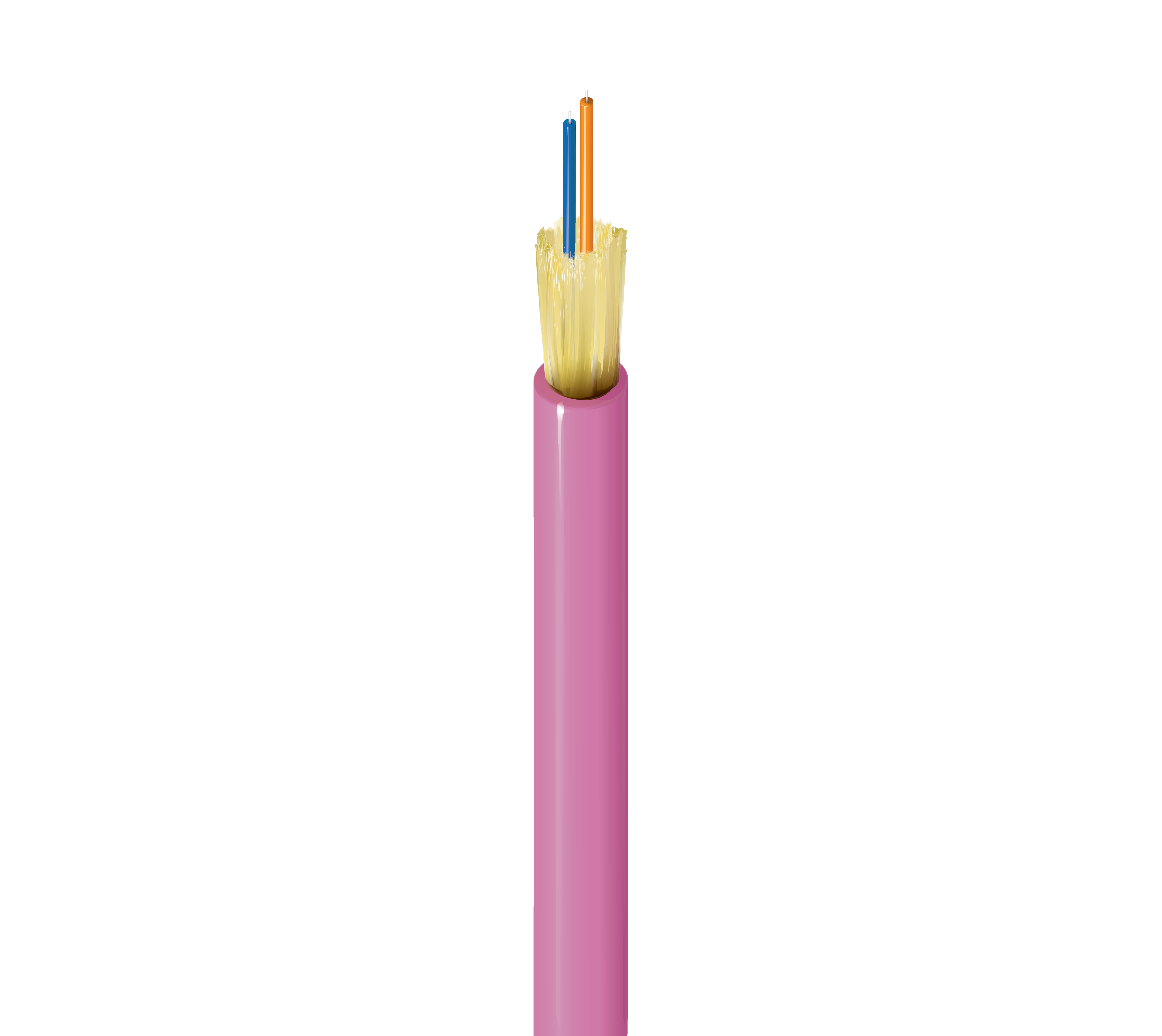 FI4D002R9