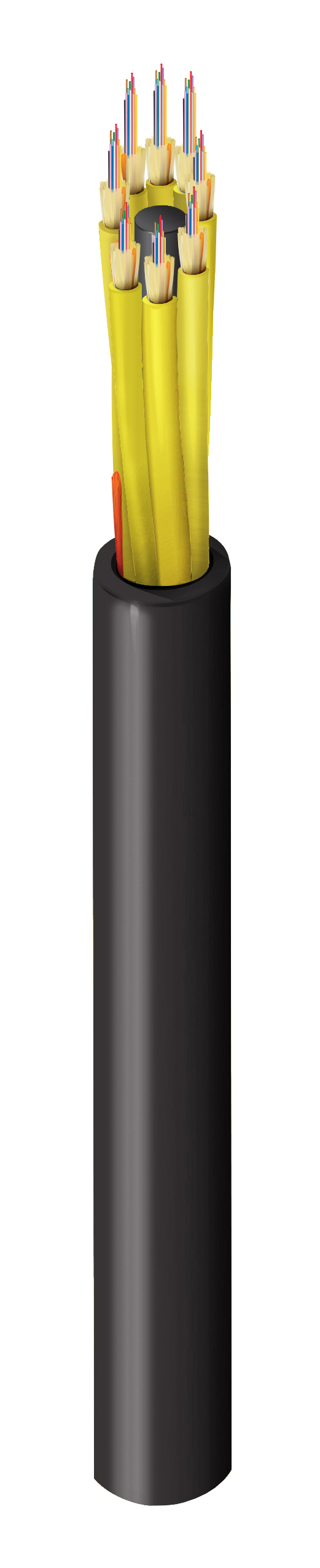 FDSM096P2