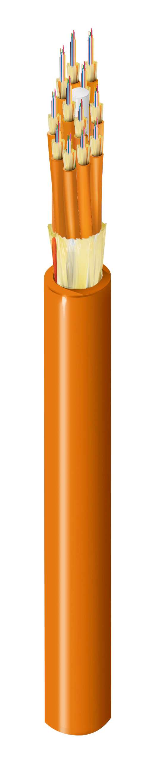 FI1M144P1