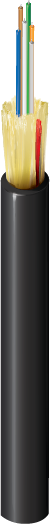 B96551