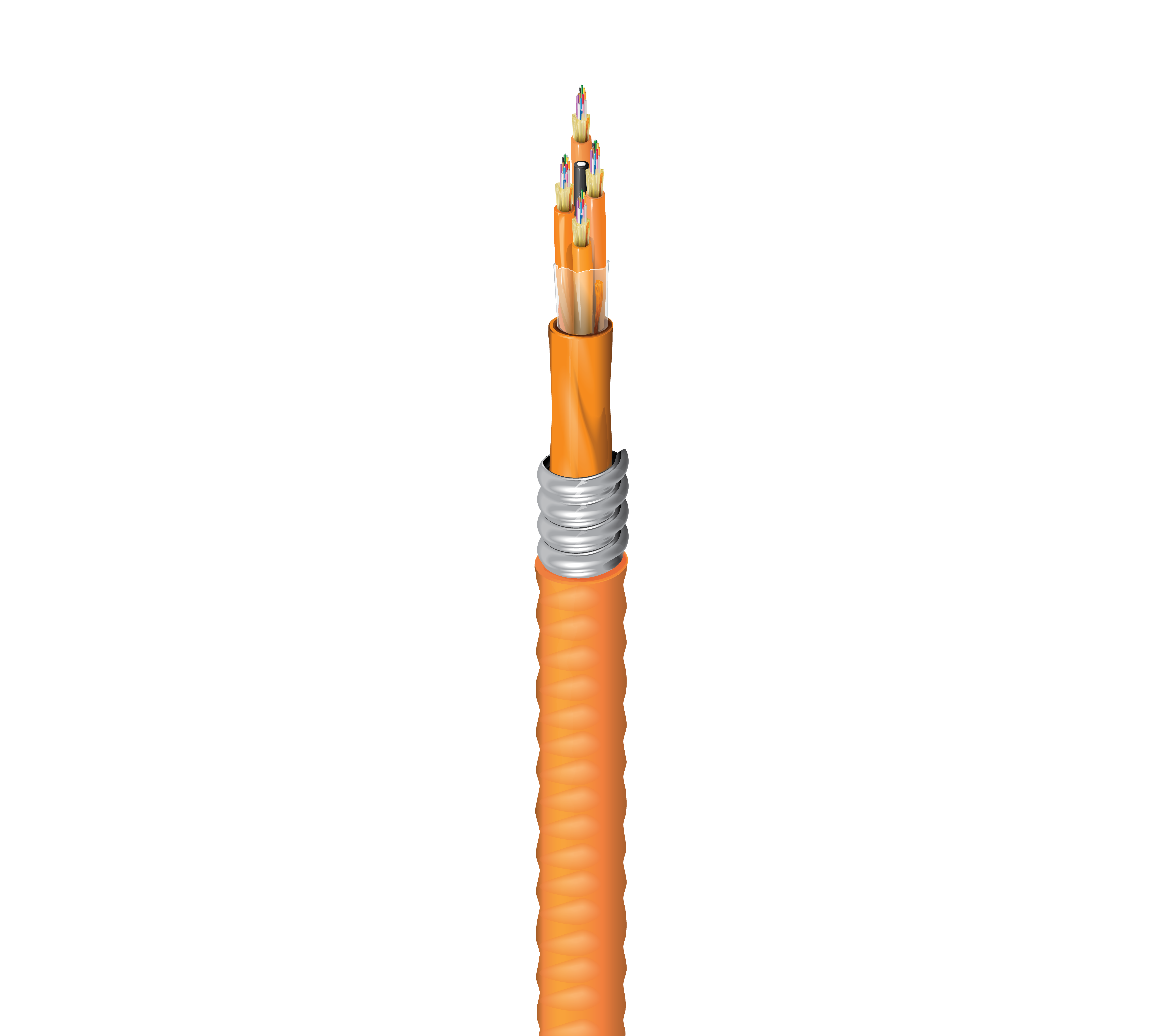 FI1D048FK