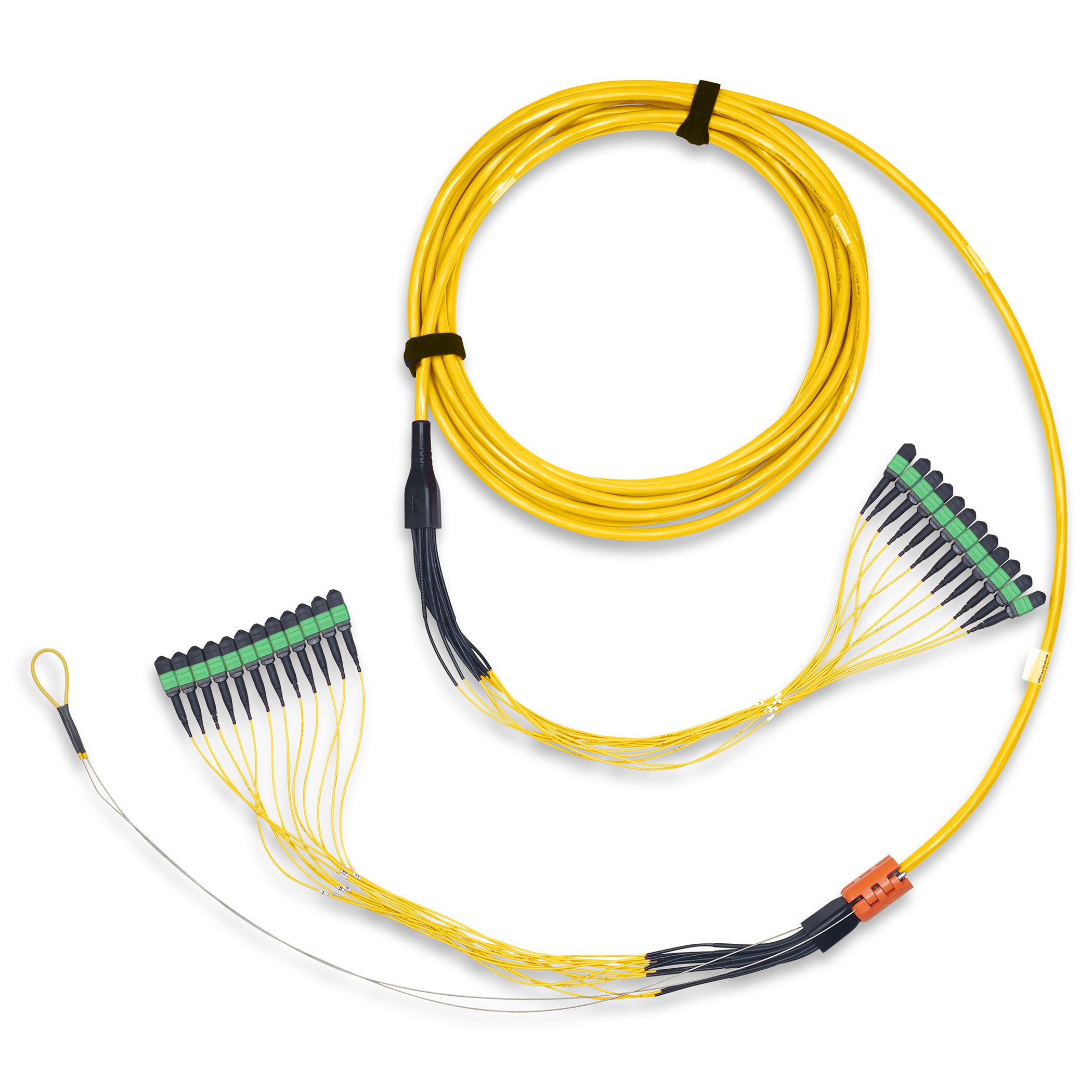 FMS4MBD010MPUEY