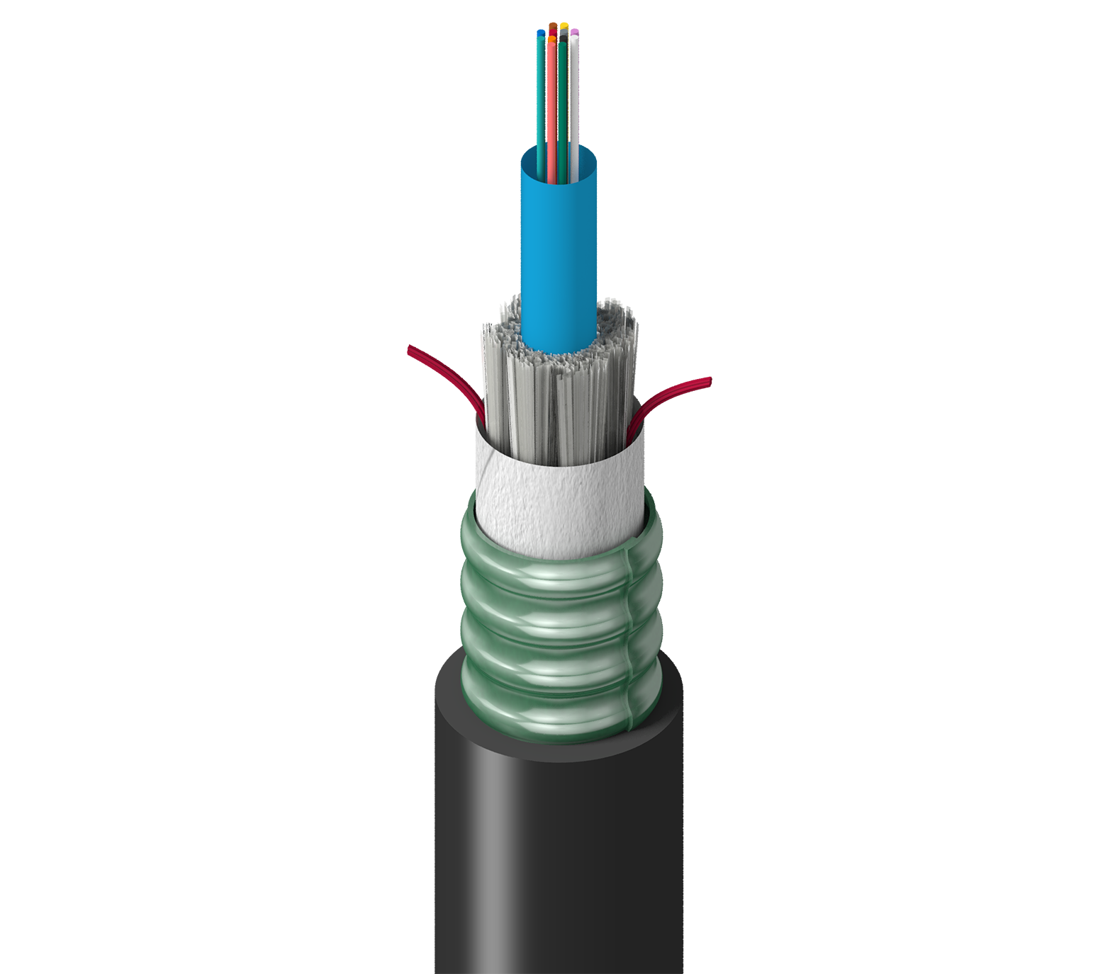 TR-SCN-012-NSU