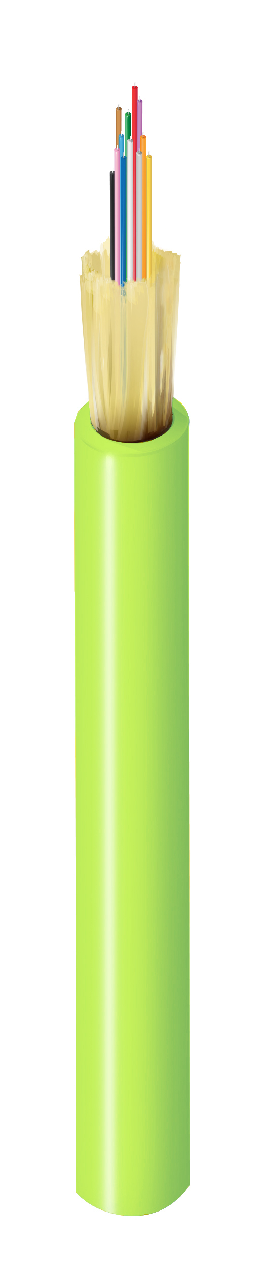 FI5M012P2