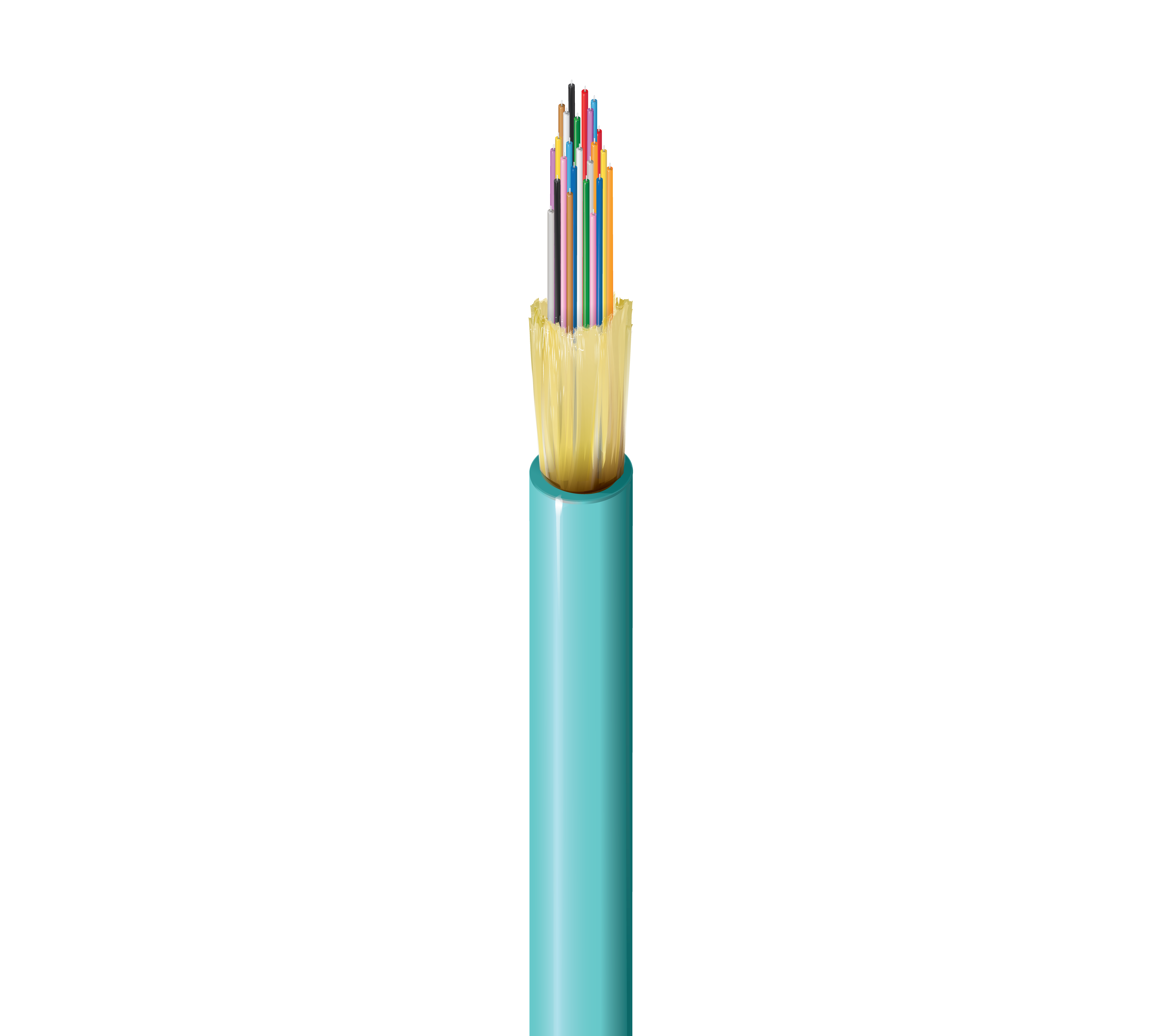FI3D024R9