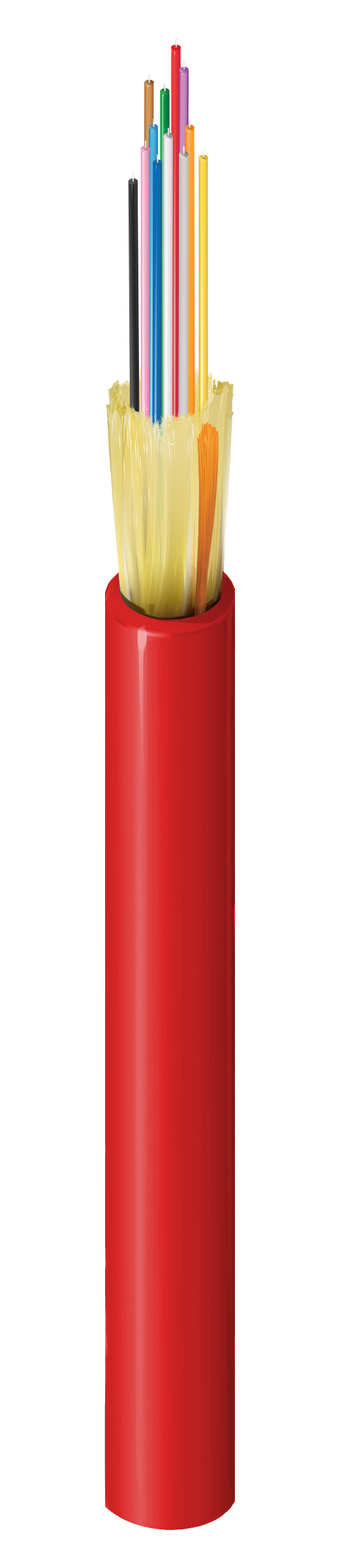 FISD012P9R