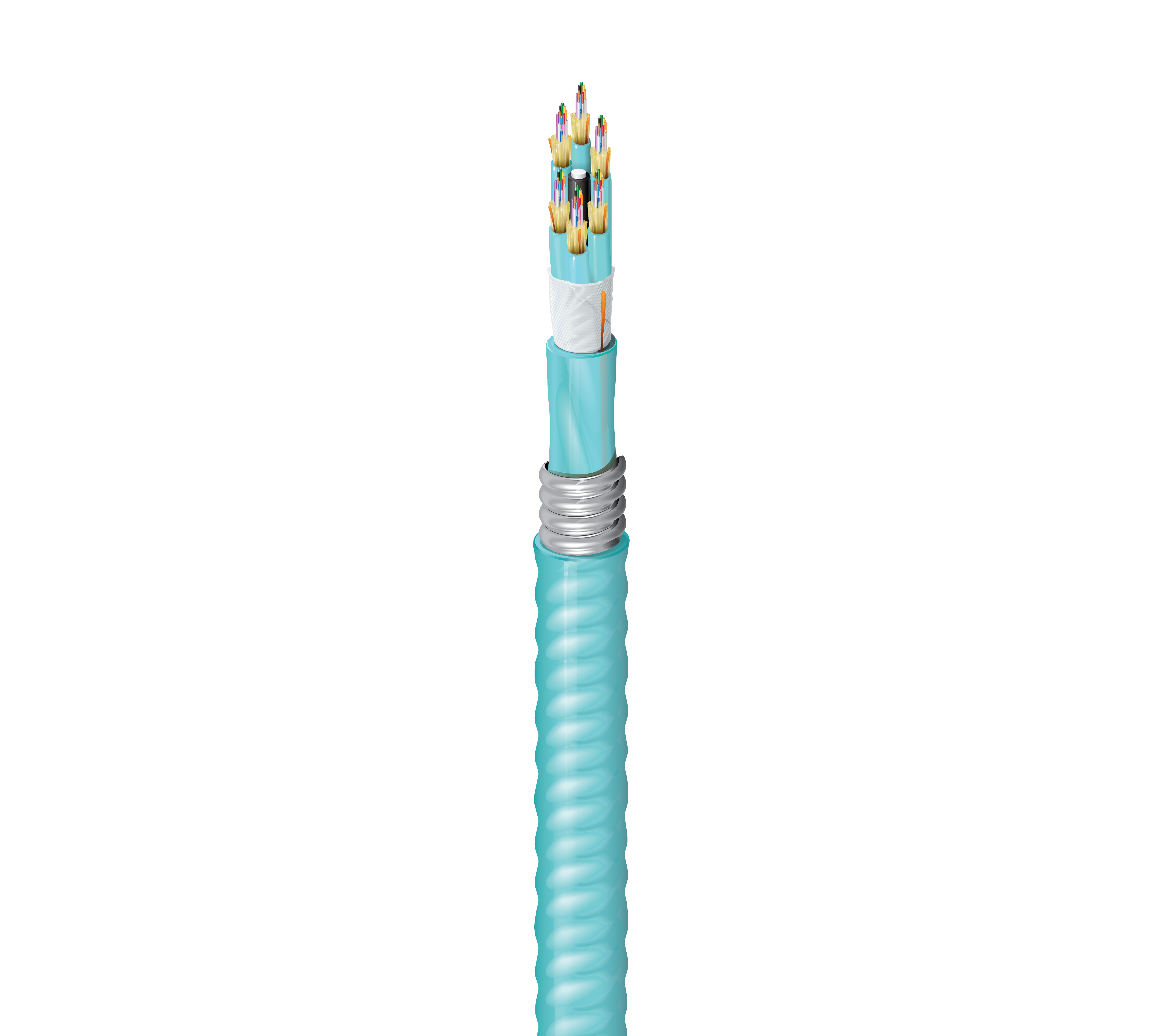 FI3D072AK