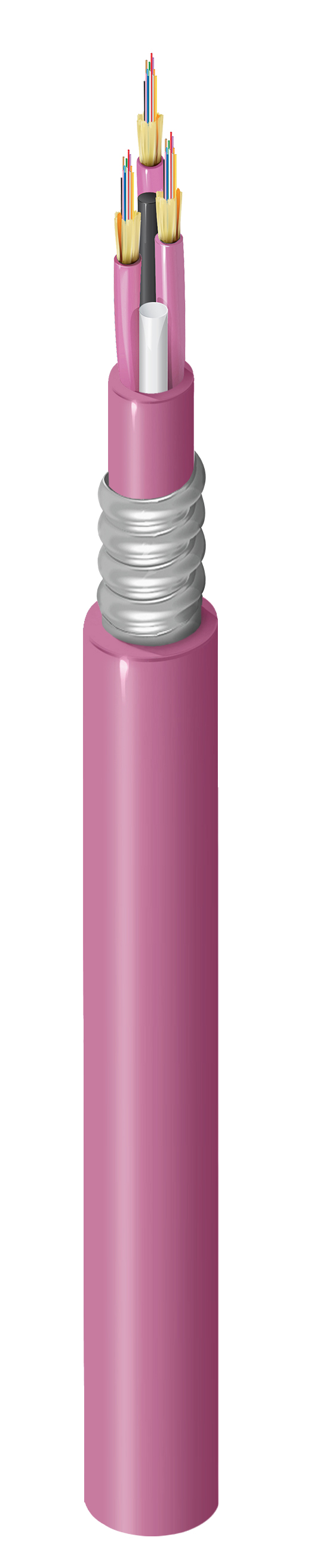 FI4M036A1