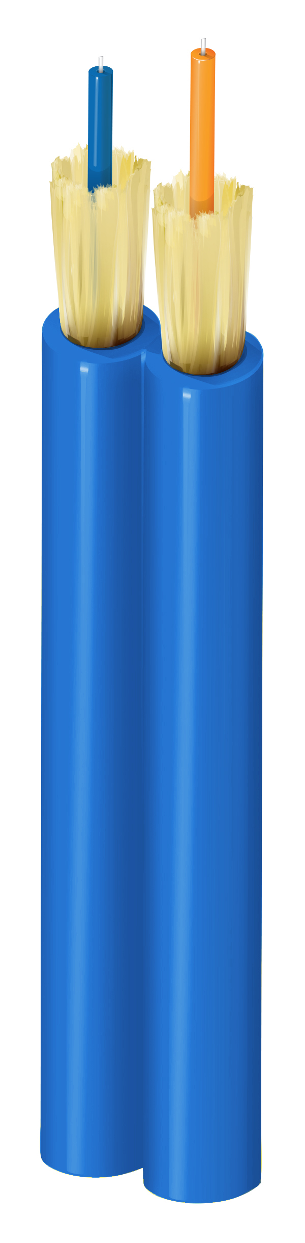 FISI002LBB