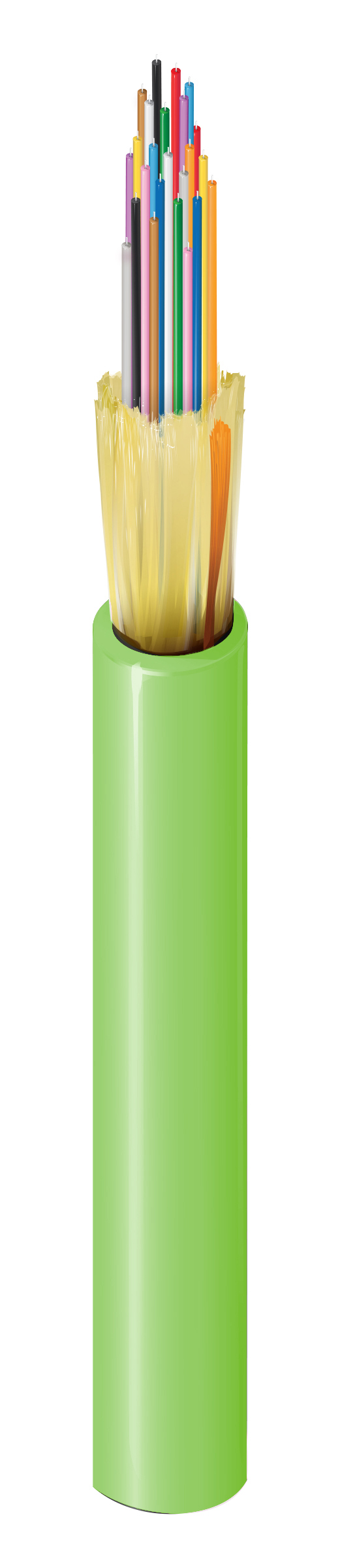 FI5D024R9
