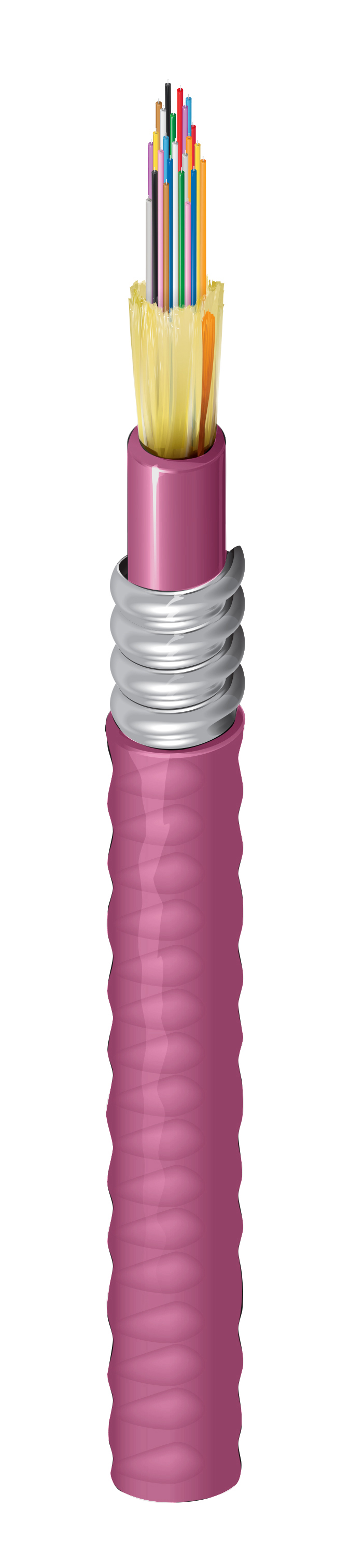 FI4D024A9