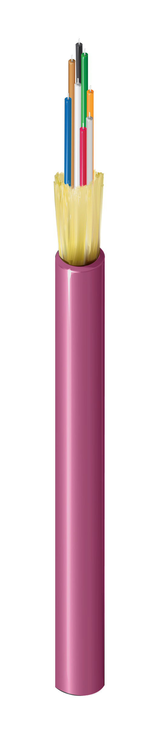 FI4D008P9