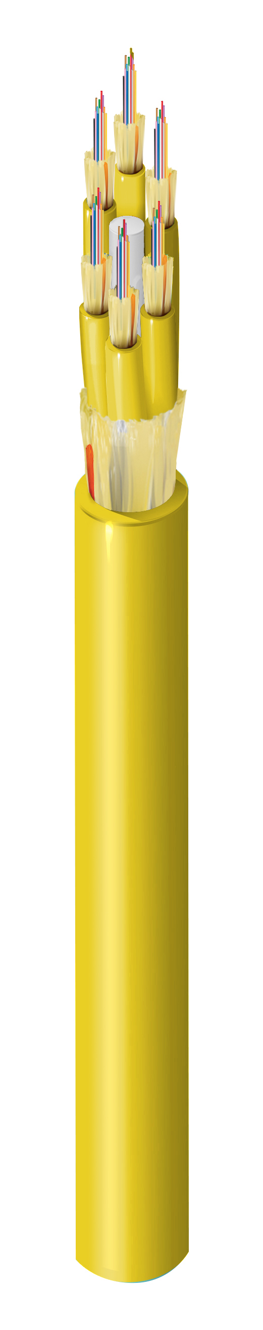 FISM072P1