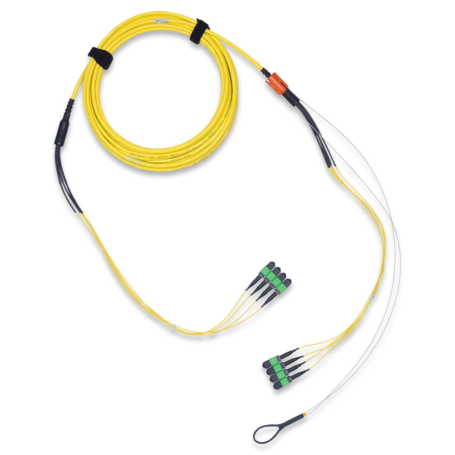 FMSMMB4010M