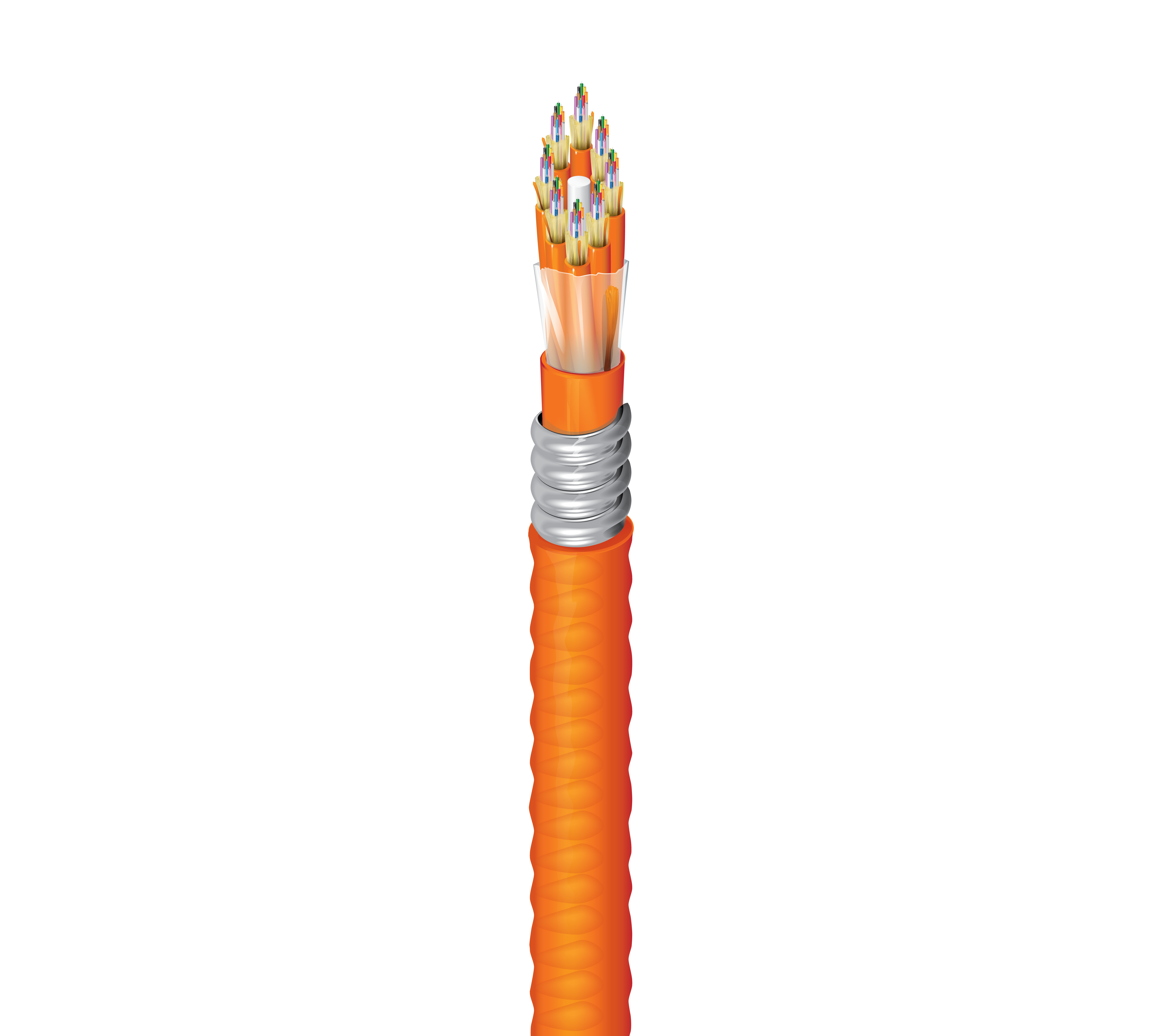 FI1D096FK