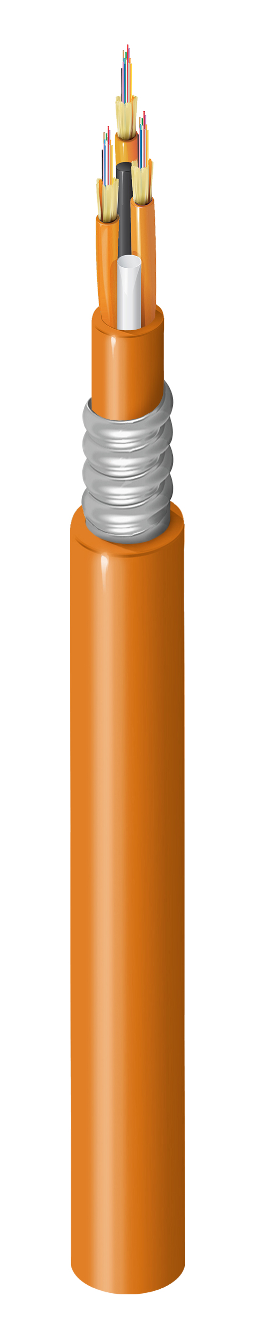 FI1M036A1