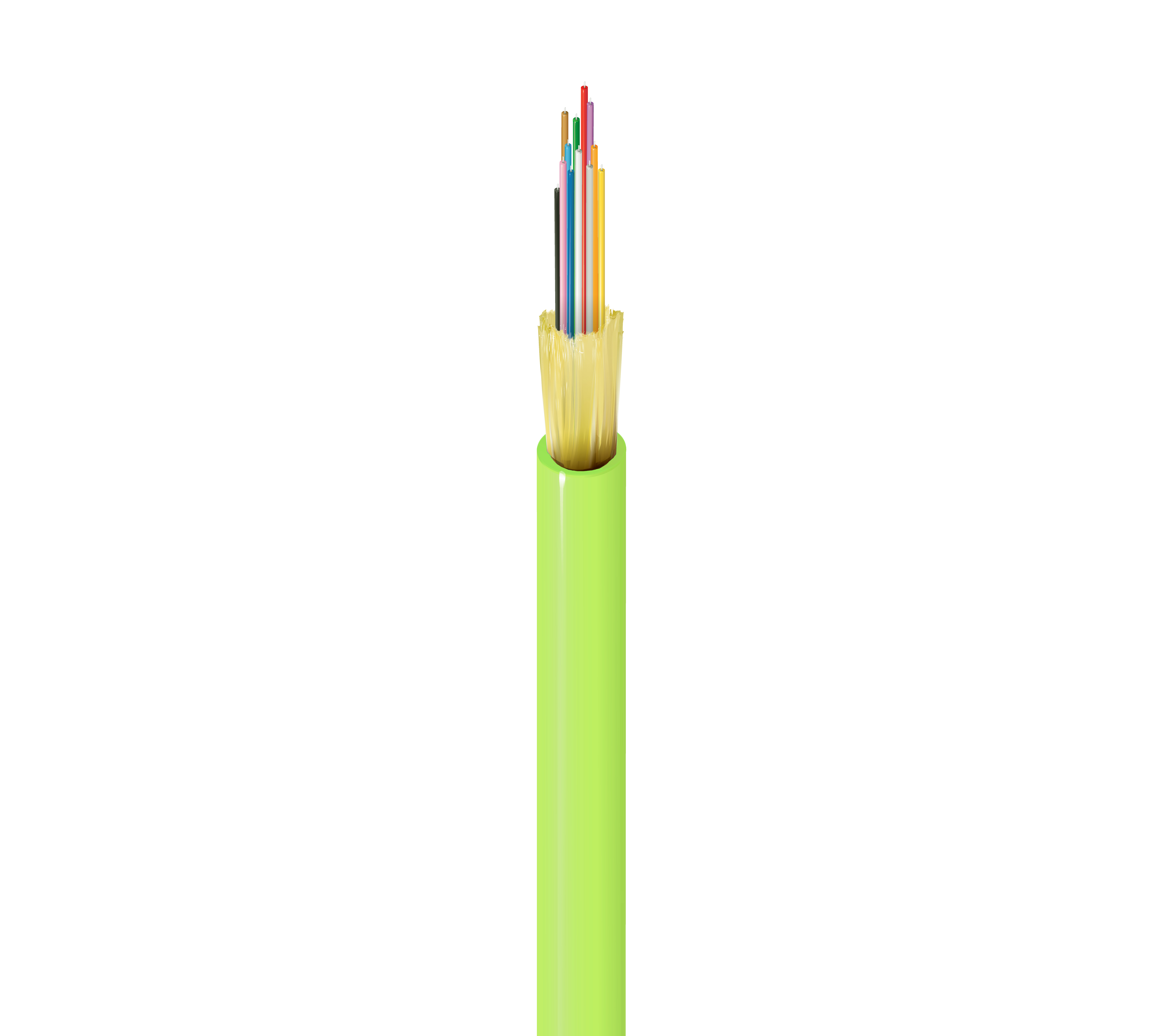 FI5I012P0