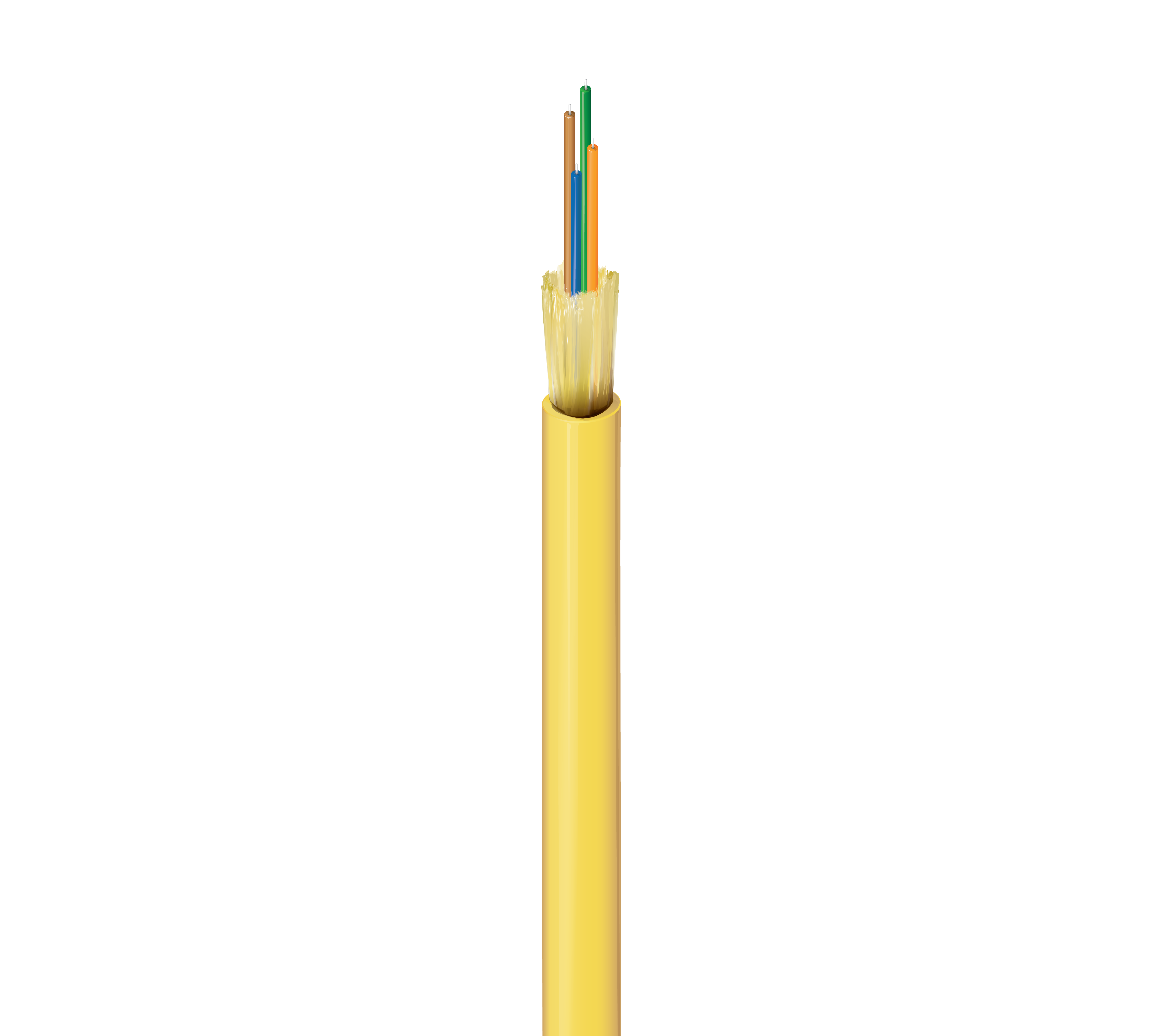 FISD004R9