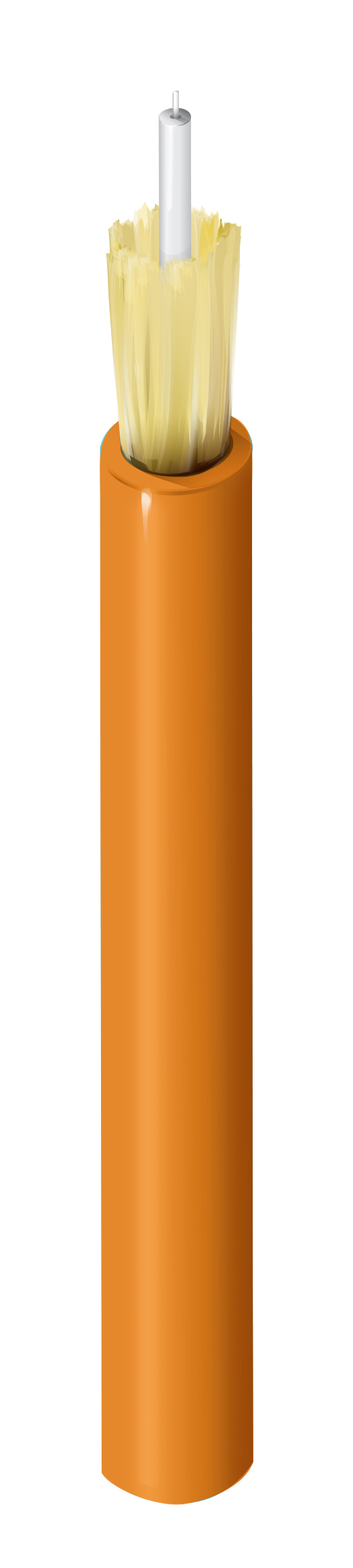 FI2I001LB