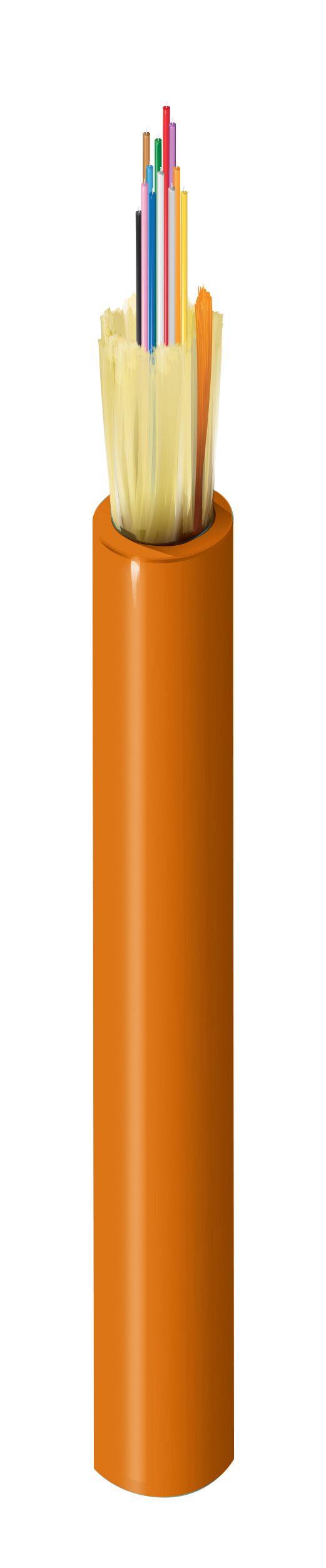 FI1M012P2