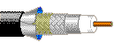 9764