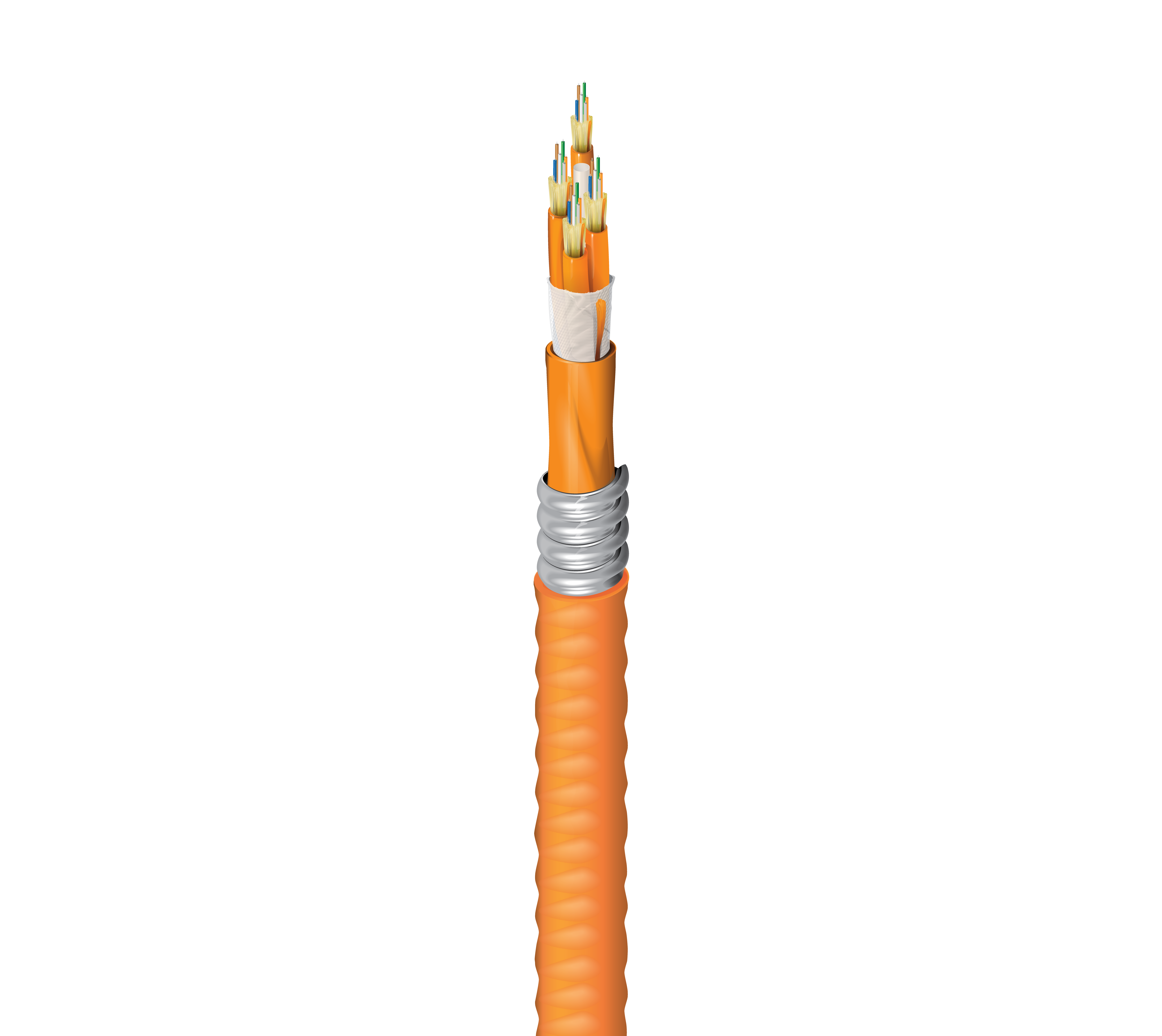 FI2D024AJ