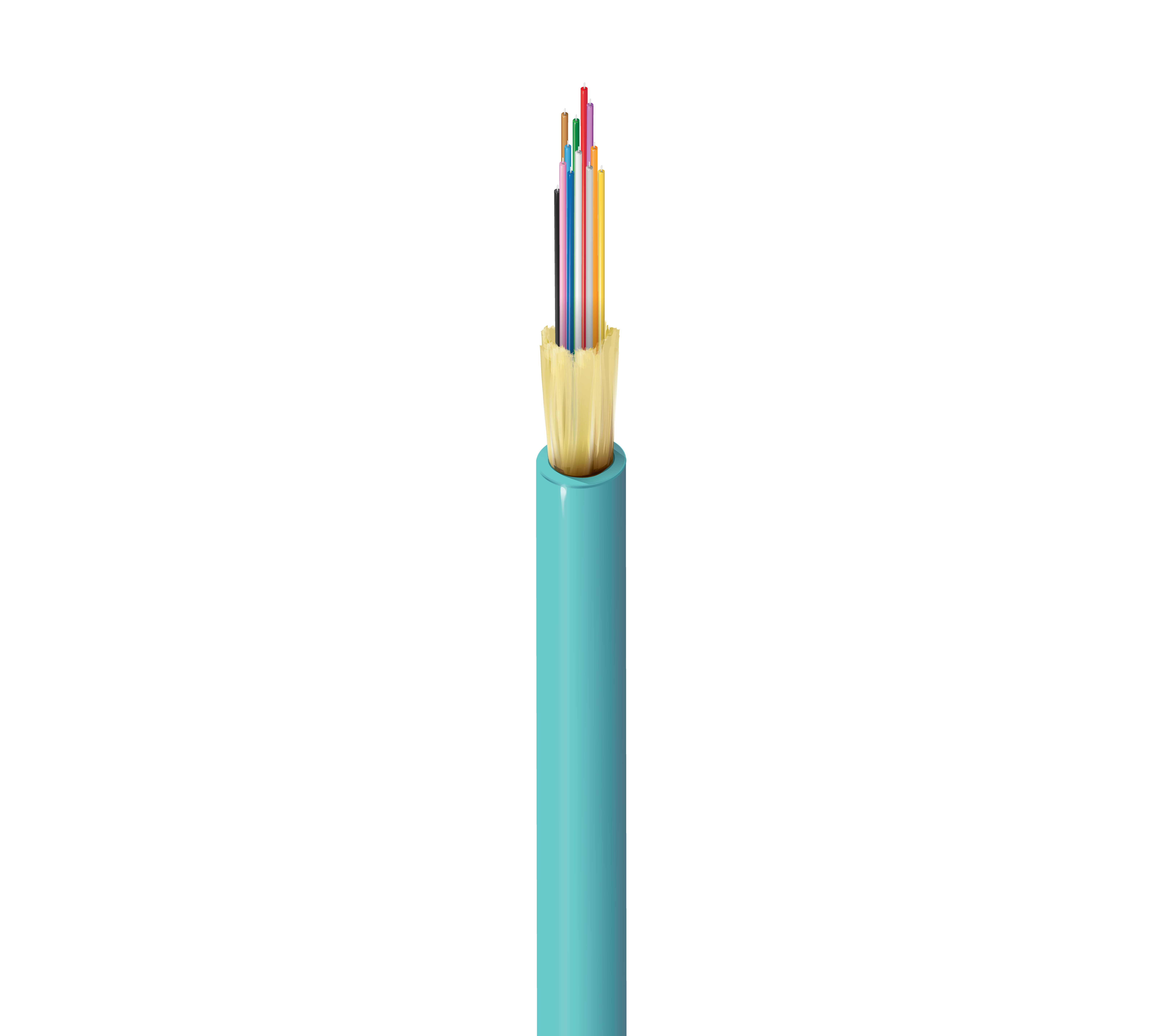 FI3I012P0
