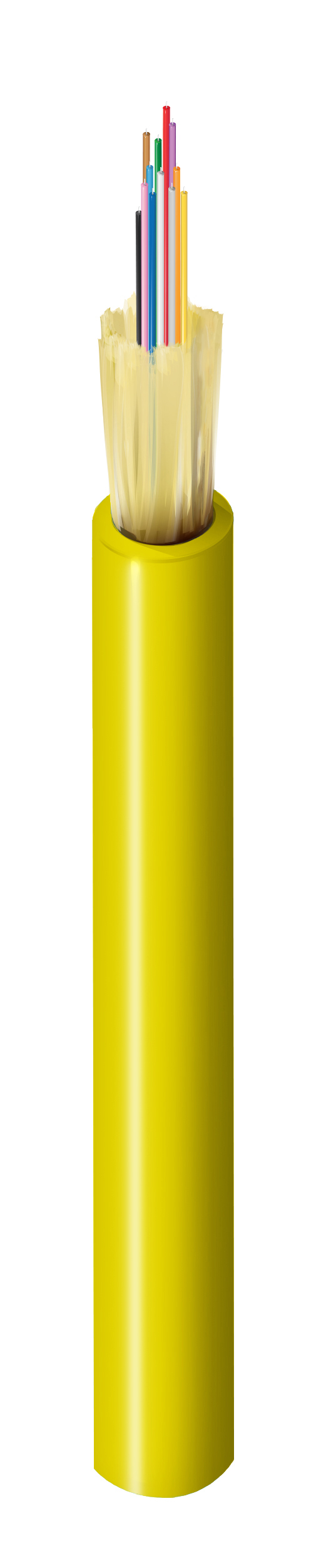 FISM012P2