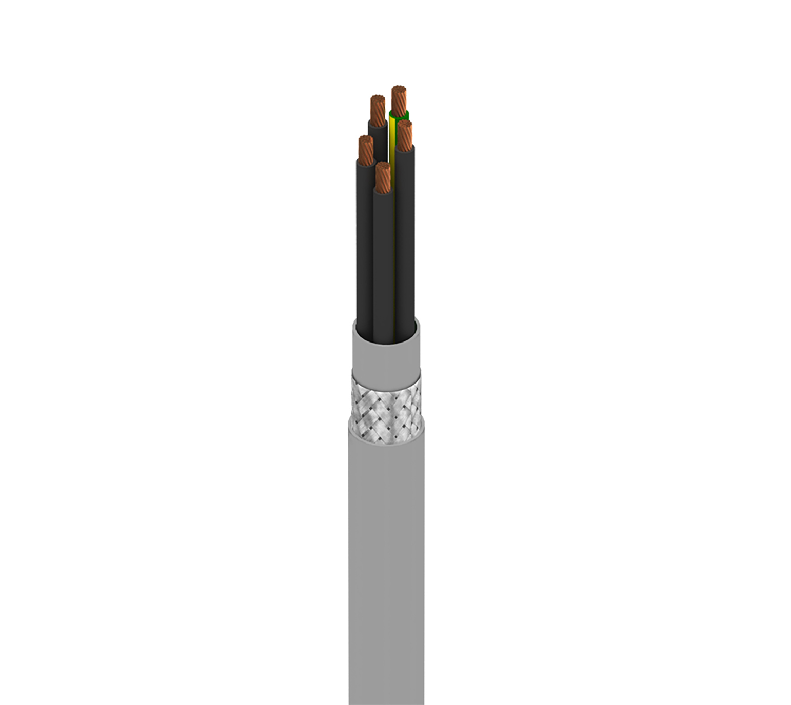 73405WS