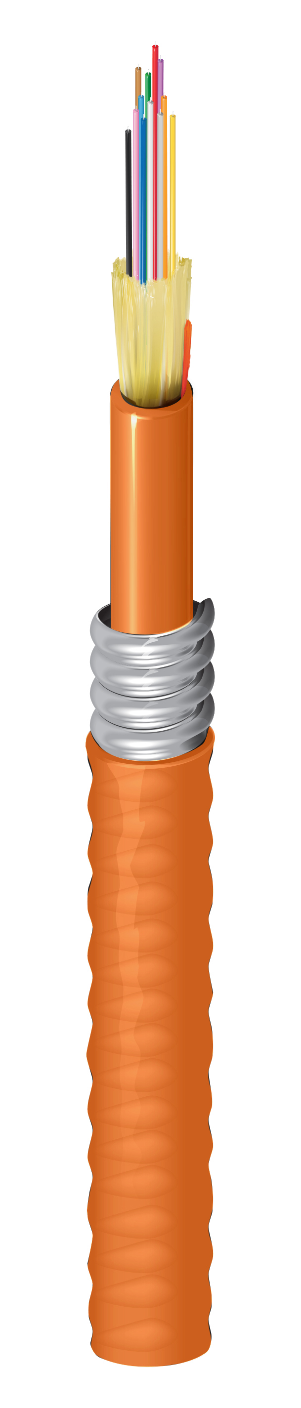 FD1D012C9O