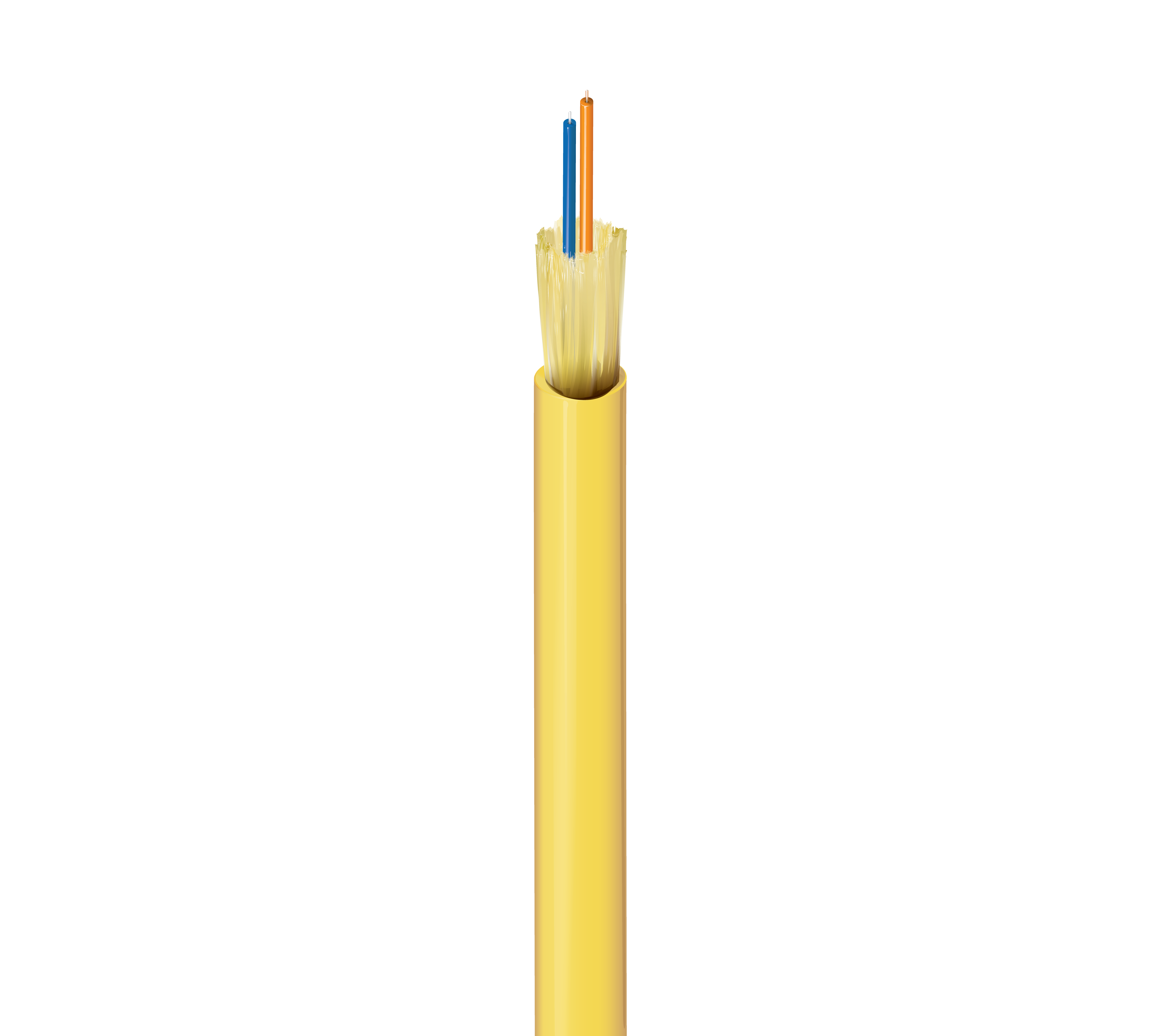 FISD002P9