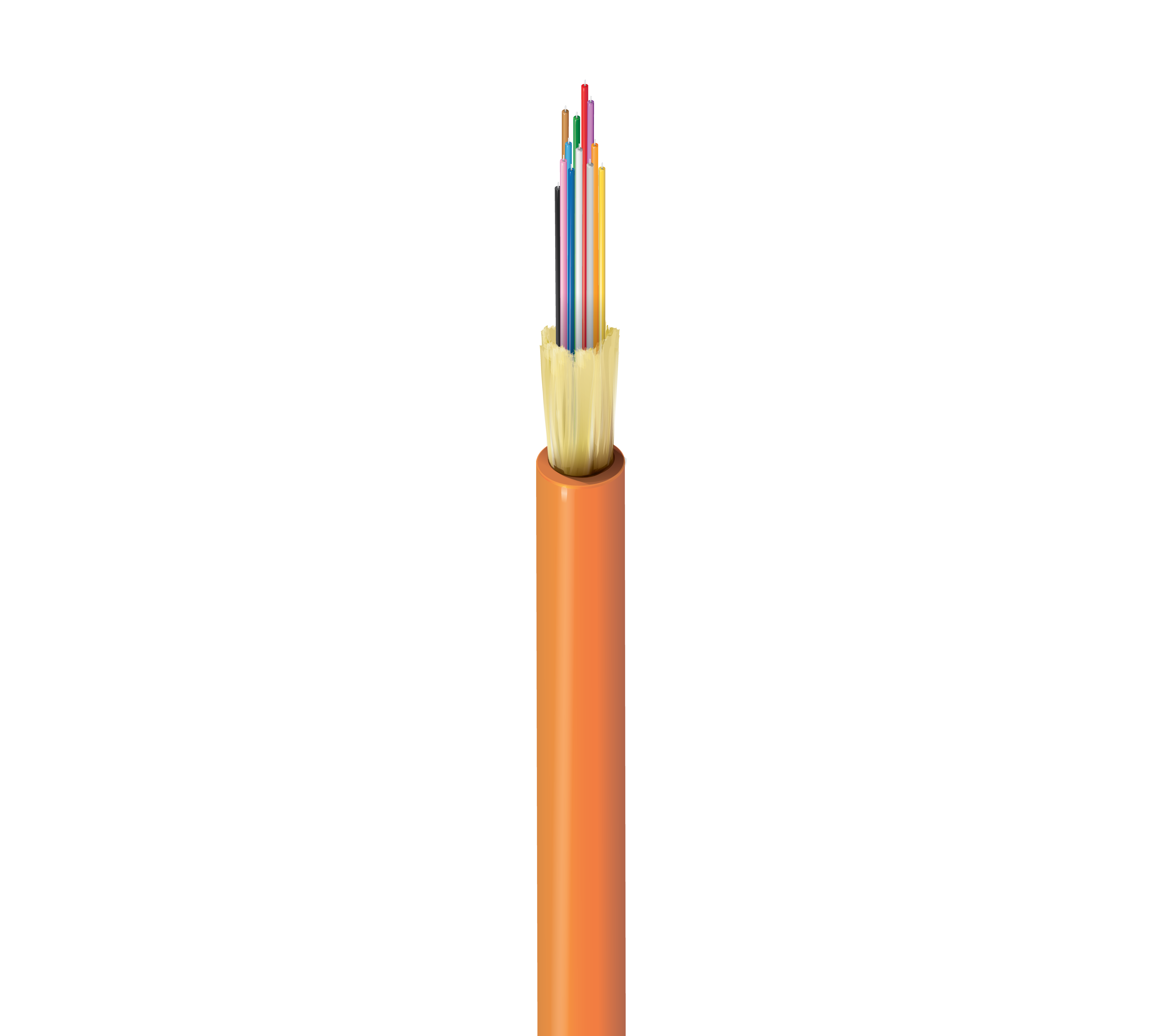 FI1I012P0